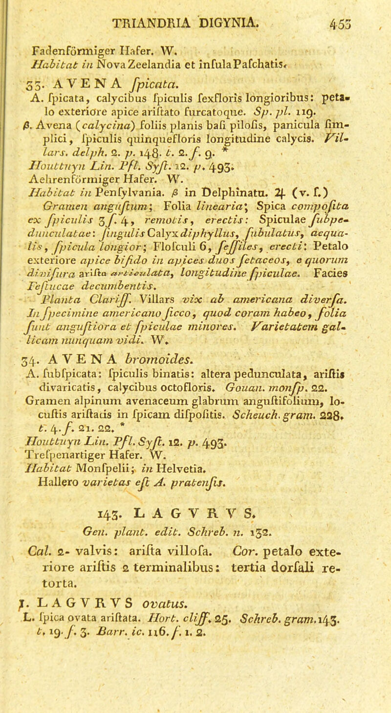 Faclexiformiger liafer. W. Habitat in NovaZeelandia et infulaPafchatis* S3. A V E N A fpicata. A. fpicata, calycibus fpiculis fexfloris longioribus: peta» lo exteriore apice ariftato fiircatoque. Sp. pi. 119. /3. Avena (^calycina) foliis planis bafi pilofis, panicula fim- plici, fpiculis quinquefloris longitudine calycia. lars. delph. 2. p. 148- 1. 9- * Jlouttnyn Lin. Pfl. Syji. i2. p. 493* Aelirenfbrmiger Hafer. W. Habitat Penfylvania. /3 in Delphinatu. 2/. (v. f.) Gramen angujhim; Folia linearia\ Spica compojita ex J^fjiciilis 3y^ 4» remotisy erectis: Spiculae fubpe- dnnculatae'. JingulisC?i[j^diphylluSj fiibidatuSy aequa- lisy fpicula longior; Flofculi 6, fejjiles, erecti', Petalo exteriore apice bijido in apices duos Jetaceosy e quorum dinijiira arilto a?^ti^ulatay longitudine fpiculae. Facies Fejlitcae decumbentis, Planta Clarijf. Villars nix ab americana diverja. In Jpecimine americanoJiccOy quod coram habeoy folia flint anguftiora et fpiculae minores. Harietatem gal- licam nunquam nidi. W, 34. AVENA bromoides. A. fiibfpicata: fpiculis binatis: altera pedunculata, arifiis divaricatis, calycibus octofloris. Gouan. monfp. 22. Gramen alpinum avenaceum glabrum anguftifolium, lo- cuftis ariftacis in fpicam difpofitis. Scheuch. gram. 228* t: 4./'. 21, 22. * Houttuyn Lin. Pfl. Syft. i2. p. 493. Trefpenartiger Hafer. W. Habitat Monfpelii;- in Helvetia. Hallero varietas eft A. pratenfis. 143. L A G V R V S* Gen. plant, edit. Schreb. n. 152. Cal. 2- valvis; arifta villofa. Cor. petalo exte- riore ariftis 2 terminalibus: tertia dorfali re- torta. J. LAGVRVS ovatus. L. Ipica ovata ariftata. Hort. cliff. 25. Schreb. gram. 143. t, 19 /. 3* Barr. ic. n6./. 1. 2.