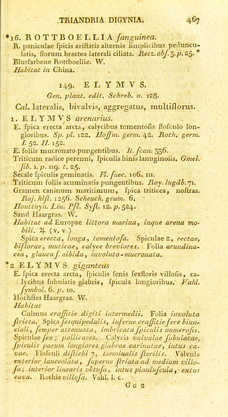 ♦16. ROTTBOELLIA fanguinea. R. paniculae fpicis ariftatis alternis iiiiiplicibus pecluncu- latis, florum bractea lateral! ciliata. Rlutfarbene Rottboellie. W. Habitat in China* , 149. E L Y M V S. Geiu plant, edit. Schreb. n. i28. Cah lateralis, bivalvis, aggregatus, Tnultiflorus. 1. E L Y M V S m^enarius. E. fpica erecla arcta, calycibus toinentohs hofcnlo lon- gioribus. Sp. pi. i22* Hoffm. germ. 42* Roth. germ. I 52. II. 152. E. foliis mucrdnato pungentibus. It. Jean. 336. Triticum radice perenni, fpiculis binis lanuginolls* Gmel. Jib. 1. p. iig. t. 25. Secale fpiculis geininatis. Ft. fuec. 106^ m, / Triticum foliis acuminatis pungentibus. Roy.lugdb.^i. Gramen caninum maritiraum, fpica triticea, noftras. Raj. hiji. 1256. Scheuch. gram. 6. ' Iloiittuyn. Lin. Fj^. ^yf^- Sand Haargras. W. Habitat ad Europae littora marinct^ inque arena rno- bili. 2|- (v* V.) Spica longa^ bomentofa. Splculae2, reebae, hijlorae, muticae, calyce brevioreS. Folia arundina- cea, glaucaf.albiday involubo^mucronaba. *2 ELYMVS giganbeus E. fpica erecta arcta, fpiculis fenis fexfloris villofis, ca- lycibus fubulalis glabris, fpicula longioribus* Vahl, fymbol, 6. p. 10* Hochltes Haargras. W. Habibab Culmus crajjitie digibi intermedii. Folia involuba Jlricba,' Spica jesquipedalis, injerne,eraJitieJ^ere biun- eiali ^ Jemper abtenuata, irnhrieaba fpieulis nUmeroJis. Spiculae fex i poUieares. Calycis valvulae JhbiiLatae, Jpieulis parum longiores glabrae carinabad^ inbus ca- vae. Flofculi dijliehi 7, tcrminalis Jterilis. Valvula exberior laueeolaba ^ lupernc Jlriaba ad medium villo- fa'j inberior linearis obblifa, inbus planiujcula f- exbus cava, Vu\ch.iB villoja, Vahl. 1. c. G G 2