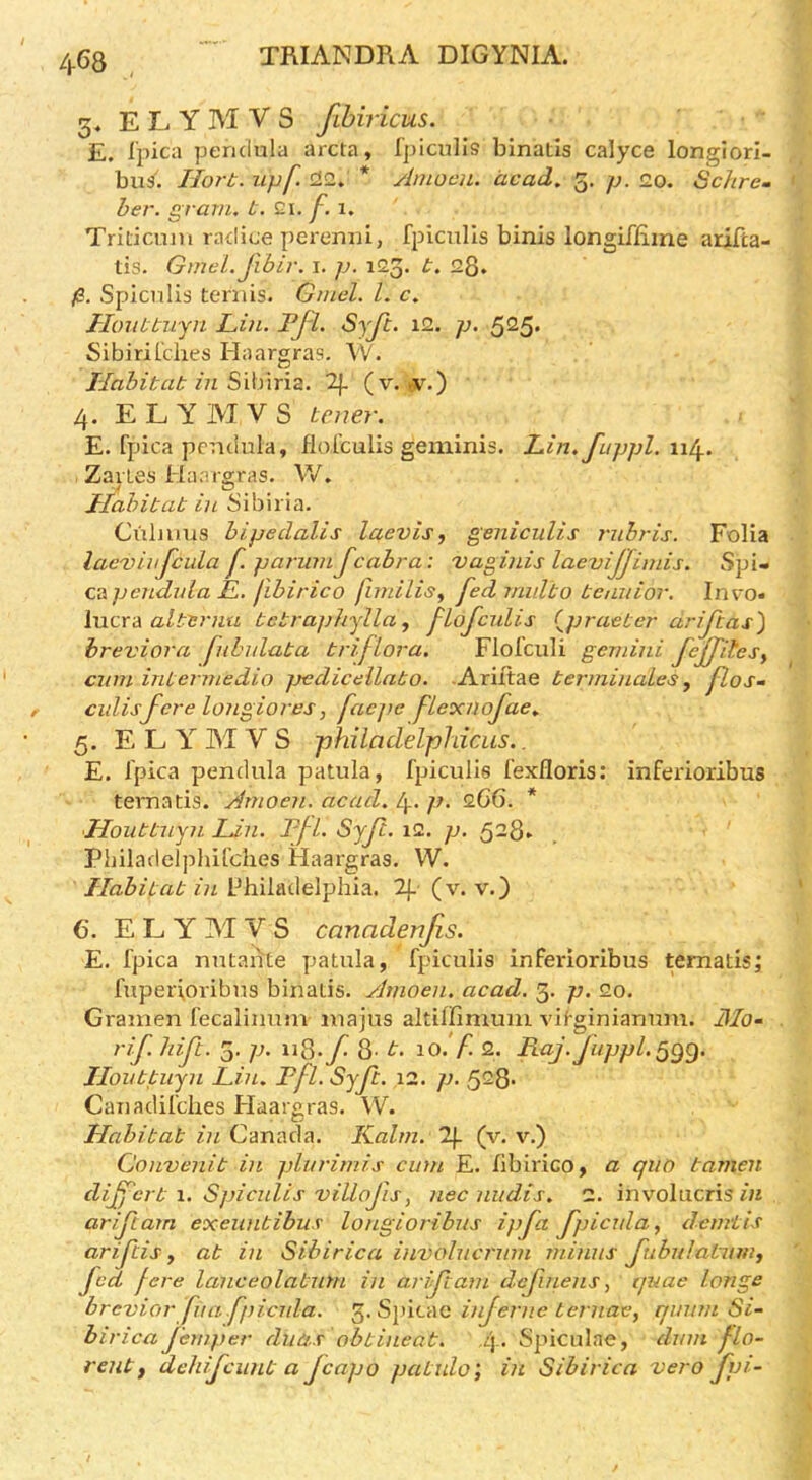 / TRIANDRA DIGYNIA. 468 , 3« E L Y AI V S fibiricus. E. I'pica pendula arcta, Ipiculis binatls calyce longiori- buS. IJorb. upf’ * Amocn. dead. 5. p. 20. Schrcm her. gram. i. £i. f. 1. Triticnm radice x)erenin, fpiculls binis longiffime arifta- tis. Gmel.fibir. i. p. 123. t. 28. (3. Spicnlis teniis. Gmel. 1. c. Hoiibtuyn Lin. Fj'l. Syjt. i2. p. 525* Sibirilches Haargras. \V. Habitat in Sibiria. (v. 4. E L Y M V S tener. E. fpica pendula, florcuiis geminis. Lin. fuppl. \\[^. ZaiLes Haars;ras. W. Habitat in Sibiria. Culuius bipedalis laevis, geniculis rnbris. Folia lacvinjcula f. paj-umfeabra: vaginis laevijjimis. Spi- ca pendida L. jibirico fimilisy fed midto tenuior. Invo« \ucxA alttrnu tctraphylla, flofculis (^praeter driftas) hreviora fuLdata triflora. Flofculi gemini feffdesy dim intermedia jjediceilato. -Ariltae terminales, flos- cidisfcre longiores, faepe fleoaiofae. 5. E L Y M V S philadelphicLis.. E. Ipica pendula patula, fpiculis I'exfloris: inferioribus ternatis. Arnoen. acad. 4. p> 2.66. * Houttuyn Li.n. Ffl. Syfc. 12. p. 528- Philadelphifches Haargras. W. Habitat in Philadelphia. 2|.- (v. v.) C. E L y M V S canadenjis. E. fpica nntahte patula, fpiculis infeinoribus ternatis; fuperi,oiibus binatis. ylmoen. acad. 5. p. 20. Gramen fecalinum luajus altiffimuni vitginianuin. Bio- rif hift. 5. p. ii8*y^ 8't. \o. f. 2. RaJ.Juppl.Qgg. Jlonttuyn Lin. Ffl. Syft. 12. p. ^2Q. Canadil'ches Haargras. W. Habitat in Canada. Kalm. 2\. (v. v.) Convenit in plnrimis cum E. fibirico, a quo tamen dijfert i. S])iculis villofis y nec nudis. 2. involucriszK ariftam exeuntibus longioi'ibiis ip fa fpicula, demiis ariftisy at in Sibirica involuci'um minus fubulatuniy fed fere lanceolatum in arifiam definens, tjuae longs brevior fua.fpicula. 3. Sj)icac injerne ternacy quum Si~ bi i-ica fernper diids obtineat. ,4. Spiculae, dum flo- rent f dehijeunt a jeapo patxdo', in Sibirica vero fpi- /