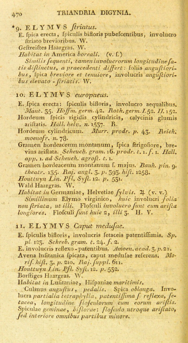 ♦9. ELYMVS ftriatus. E, fpica erecta, fpiculis bifloris pubefcentibuS; involucro ftriato brevioribus. W. Geftreiftes Haargras. W. JJabi(:at in America boreali. (v. f.) Sindlis fequenti, tamen involucroriim longitudine fa~ tis dijlinctns^ a yraecedenbi divert: ioVns angujiiori- busy Ipica breviere et benuiore y involucris angujiiori- bus elevabo - Jiriabis. W. 10, ELYMVS europaeus. E. fpica erecta: fpiculis bifloris, involucro aequalibus. Manb. 35. Uojjfrn. germ. Robh. germ. I. IT. 152. Hordeum fpicis rigidis cylindricis, calycinis glumis ai'iftatis. Hall. helv. n, i537- Hordeum cylindricum. Murr. prodr. p. 43, Reich^ moenojr, n. 78* Grainen hordeacemn montanum, fpica ftrigofiore, bre- vius ariftata. ScheucJi. gram. 16. prodr. b. 1. f. 1. Halh app. 1. ad Schench. agrojt. b. i. Gramen hordeacemn montanum f. majus. Ranh. pin. g. bheabr. 135. Raj. angl. 3. p. 393- 1258* Houbbuyn Lin. Pfl. Syft. i2. p. 531. Wald Haargras, W, JIabibab in Gevnxzni^e y Helvetiae fylvis. 2f. (v. v.) Simillimum Elymo virginico, huic involucri folia non ftriaba, ub illi. Flofculi involucro funb cum arifa longiores. Flofculiy^//^2, illi’^. H. V. 11. ELYMVS Caput medufae, E. fpiculis bifloris, involucris fetaceis patentilEmis. Sp. pi- 123. Schreb, gram. t. ^i\-.f 2* E. involucris reflexo - patentibus. Amoen. acad. 3.7;. 21. Avena lufltanica fpicata, caput medufae referens. Mo- rif. hift. 3. p. 210, Raj. fiippl. 611. Houbbuyn Lin. Pfl. Syft. 12. p. 532. Borfliges Flaargras. W. }dabibab in Lufitaniae, Hifpaniae maribimis. Culmus angifciis y pedalis. Spica oblonga. Invo- \ncx2i parbialia bebrapliylla^ pabenbijjimaf rejlexuy fe~ Caeca y longibiulhie flofculorum cum eorum ariftis. Spiculae geminae, biflorae: flofcnlo ubroque arifeabOy fed inter lore omnibus par bibus minore.