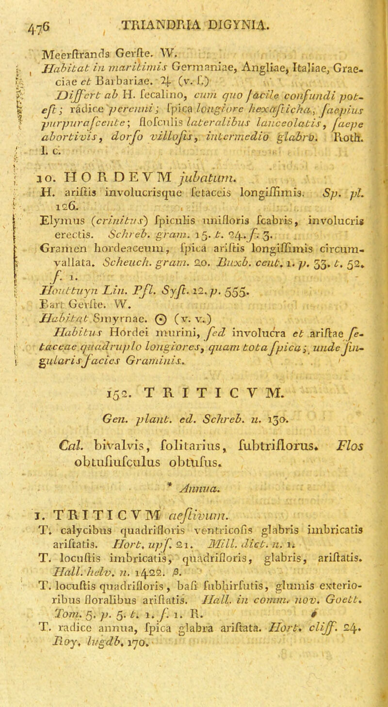 I 476 Meerftrancls Gevflre. W. i- , JIahibab in marilimis Germaniae, Angliae, Italiae, Grae- ciae cb Bai bariae. 2j- (y. 1.) 3^: Dijfcrb ah H. fecalino, cum quo Jacilo coiifundi pob~ w efti radicG 'pcrewii; kmgiorc hexaficha, faepius f pu7-purafccube', {[o^cnYis labera.lihus lauceolabis^ jaepe ahorbivis, dorfo villofis, iubci-inedio glabro. Roth. ; 1. c: i I 10. H O B. D E V M jubaUmu ■ H. arilHs involucrisque fctaceis longiilimis. Sp. pi. ‘ , 126. , Elymus {ci-inibus) fpicuHs nnifloris fcabris, involucri* erectis. Schreh. graui. b.f. Gramen hordeaceum, I'pica ariftis longiflimis circum- i vallata. Scheuch. gram. 2o. Buxb. ceub, 1. p. 53. b. 52* I /• . {: Iloubbiiyn Lin. Pfl. Syfc. il.p. 555* EartGevite. W. ’ Hahibab 8iiiyrnae. © (v. v.) Habitus Hordei inurini, fed involua*a et ariftae y^- j‘ taceae quadruplo lougioreSj qiiam bobafpicai^ unde fm- ! gyuLarisfacies Grariiinis. 152. TRITICVM. Gen. plant, ed. Schreb. u. 130. Cal. bivalvis, folitarius, fubtriflorus* Flos obLufmfcalus obtiifus» * Annua. I. TRITICVM aeftivum. T; calycibiia quadrifloris ventricofi.s glabris iinbricatis ariftatis. Horb, upf 2.1. Mill. diet. n. li T. locuftis imbricaiia, quadrifloris, glabris, ariftatis* Hall. helv. n. 142^* T. locuftis quadrifloris , ball fubhirfutis, glumis exterio- ribus floralibus ariftatis. Hall, in comm, nov, Goett. Tom. 5. p. 5. b. f Vl. i T. radicc annua, fpica glabra ariftata. Horb* cliff. 24* Boy, lugdb,\qo,-