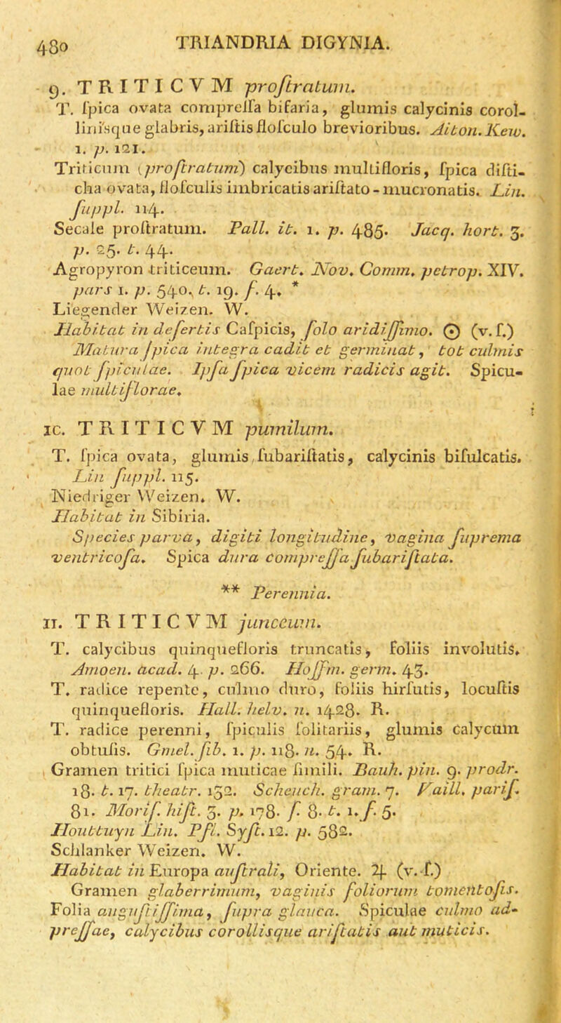 9. TRITICVM prqftratwn. T. I’pica ovata coniprelfa bifaria, glumis calycinis corol- lini'sqiie glabris, arirtisflolculo brevioribus. AiLon.Kew. 1. p. 121. Trificnju \,proftratnvi) calycibns mullifloris, fpica clifti- cha ovata, fiofculis imbricatis ariftato-mucronatis. Lin. J\ippl. 114.. Secale proftratuin. Pall. it. 1. p. 485. Jacq. hort. 3. p. 25. t. 44.^ Agropyron .triticeum. Gacrt. Nov. Comm, petrop. XIV. pars I. p. 540^ b. 19. /', 4, * Liegender Weizen. W. Llahitab in deferbis Cafpicis, folo aridijjimo. 0 (v.f.) Matura jpica /ntesra cadib eb germinab, tot cidmis cpiob fpicnlae. Ipfa> fpica vicem radicis agib. Spicu- lae mulbiflorae. ic. TRITICVM pwnilwn. T. Ipica ovata, glumis,fubariltatis, calycinis bifulcatis. Lin fiippl. 115. Niedriger Weizen. W. Ilahibab in Sibiria. Species parva, digibi longibiidine ^ Vagina fuprema venbricofa. Spica dura comprejja fubarifcaba. ** Perennia. IT. TRITICVM juncewn. T. calycibus quinquefloris truncatls, follis involutis, Arnoen. acad. 4 P‘ 266. Hojfm. germ. 43« T. radice repente, ciilmo dnro, foliis hirfutis, locuftis quinquefloris. Hall. helv. n. 1428* R* T. radice perenni, fpiculis lolitariis, glumis Calycuin obtulls. Gmel. fib. 1. p. ii8. n. 54* Gramen tritici Ipica muticae llmili. Pauti. pin. 9. prodr. i8. b. 17. bheabr. 152. Scheuch. gram. 7. Paill, parif 81. Blorif. In ft. 3. p. 178. f 8-1. i.f. 5. Iloubbiijn fin. Pfi. Syjc. i2. p. 582. Scblanker Weizen. W. Habitat in E.\\ro^?L auftrali^ Oriente. (v. f.) Gramen glaberrirnum, vaginis foliorum bomentofis. Folia angufiifjima^ fupra glniica. Spiculae culrno ad- preffaey calycibus corollisque arifcabis aub muticis.