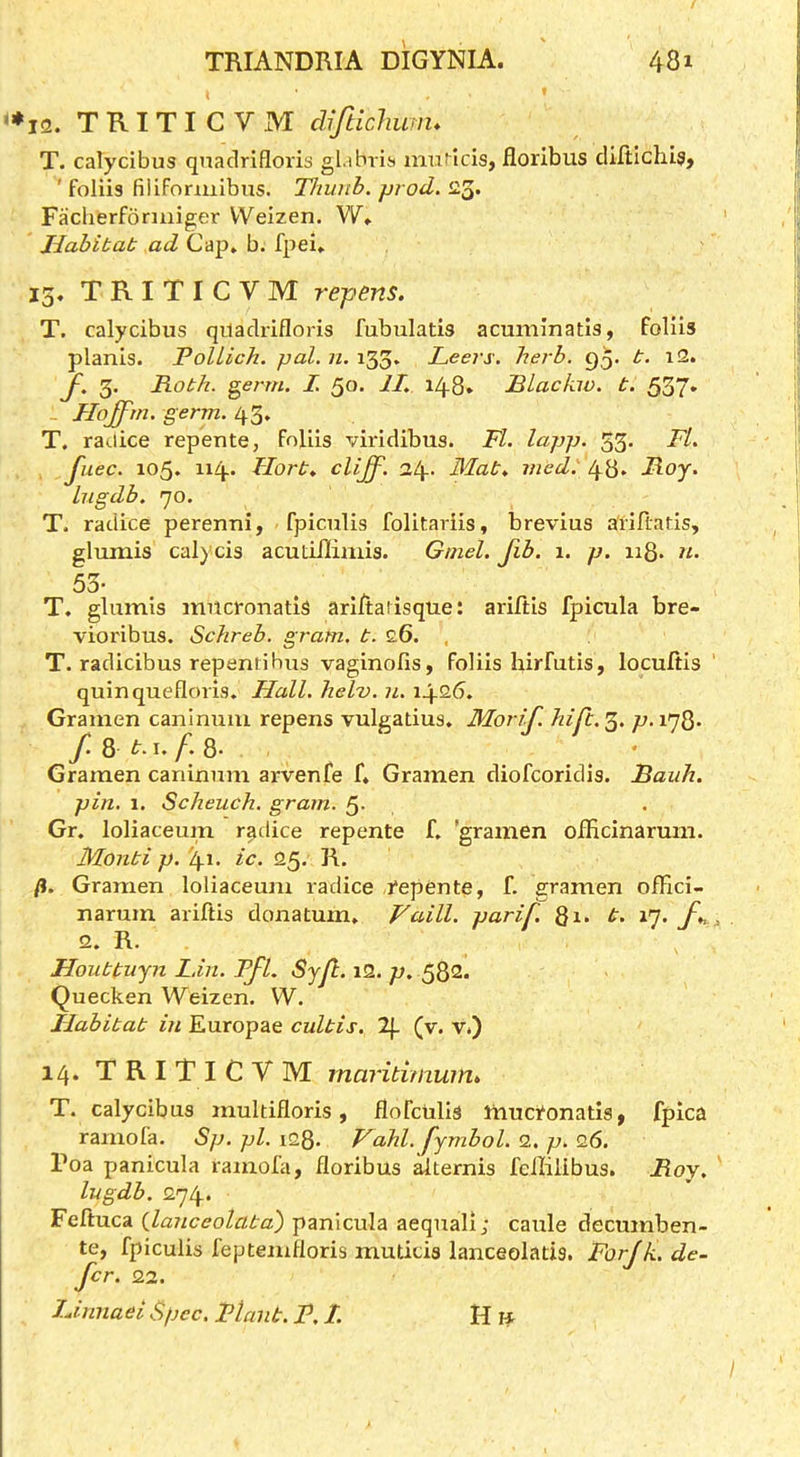 12. TRITICVM diftichunu T. calycibus qnaclrifloris gl.ihri.s l^lu^Icis, floribus cUfticliiSj ' foliis fiiiformibus. TJiunb. prod, 23. Facherforiiiiger VVeizen. W» Habitat ad Cap. b. fpei. 15, TRITICVM repens. T. calycibus qiladrifloris fubulatis acumlnatls, foliis planls. PolLich. pal. 11. 133. Leers, herb. 9A y. 3. Roth. ^erm. I. 50. IL 148* Rlackw. t. 537* - Hojfm. germ. 43. T, radice repente, Foliis viridibus. Fl. lapp. 33. FL Jiiec. 105. ii4* Lhort* 24* Mat* med. 48» Roy. liigdb. 70. T. radice perenni, fpiculis folitariis, brevius ariftatis, glumis cal)xis acutiilimis. Gmel. Jib. 1. p. 118. n. 53- . . . T. glumis mncronatls ariitaiisque: ariftls fpicula bre- vioribus. Schreb, gram. t. 26. , T. radicibus repenrihus vaginofis, Foliis hirfutis, locuftis quinquefloris. Hall. helv. u. 1426. Gramen caninum repens vulgatius. Morif. hip:. 3. p. 178. Gramen caninum arvenfe f. Gramen diofcoridis. Bauh. pin, 1. Scheuch. gram. 5- Gr. loliaceum radice repente f. 'gramen ofHcinarum. Monti p. 4i. ic. 25. R. /?. Gramen loliaceum radice tepente, f. gramen ofFici- narum ariftis donatum. Vaill. parif. gi. t. 17. f*. 2. R. Houttujn Lin. FfL Syp. i2. p. 582. Quecken Weizen. W. Habitat in Europae cultis. 2|_ (v. v.) 14. TRITICVM maritimum* T. calycibus multifloris, floFctilis liiuci‘onatis, fpica ramofa. Sp. pi. iQQ. Vahl. fymbol. 2. p. 26. Voa panicula ramola, floribus ^ternis fcililibus. Roy, lugdb. 274. Fefluca ilanceolata') panicula aequali; caule decumben- te, fpiculis feptemfloris muticis lanceolatis. ForJk.de- for. <22. Linnaei Spec, Plant. P. I. H if
