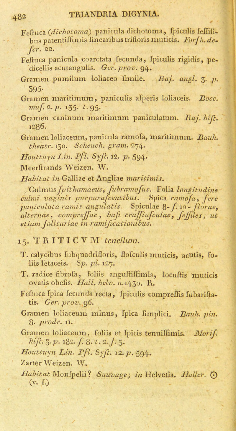 'Fe.Ttnca(_dichotoma') panicula dichntoma, fpicuHs feJIili- bus patentininiis linearibus trifloris iiiuticis. Foi f k. de- fer. QQ. Feftuca panicnla coarctata fecunda, fpiculis rigidis, pe- cUcellis acutangulis. Ger. prov. 94* Gramen pumilum loliaceo fiinile» Raj. angl. 3. p. ' S95- Gramen inaritimum, paniculls afperis loliaceis. Bocc. viuf. 2. p. 135. t. 95. Gramen caninum maridmum paniculatum. Raj. hip:.. im. Gramen lollaceum, panicula ramofa, maridmum. Baiih. bheatr. 150. Scheuch. gram. 274. Houbtnyn Lin. Pfl. Syjl. 12. p. 594' Meerftrands Weizen. W. Habitat in Galliae et Angliae maritimis. Culmus Jpithamaeus^ fuhramofus. Folia longitiidine cuhni vaginis pnrpurafcentibus. Spica ramofa, panicidata rands angulatis. Spiculae f. 10- floracf aiternae, comprejfae , bafi crajfiufculae, feffiles, lit etiam Jolitariae in ramificationibus. 15. TRITICVM tenellwn. 0 T. calycibus fubquadriflioris, flofculis muticis, acuds, fo- liis fetaceis. Sp. pi. 127. T. radice fibrofa, folds angultiffimis, locuftis muticis ovads obelis. Hall.hclv.n.\l\yd, R. Feftuca fpica fecunda recta, fpiculis comprelKs fubarifta- ds. Ger. prov.^^6. Gramen lollaceum minus, fpica ftmplici. Baiih. pin. 8- prodr. 11. Gramen lollaceum, folds et fpicis tenuiflimis. JMorif hift. ’^.p. 182./ 8. 2./5. Houttnyn Lin. Rfl. Syft. i2. p. 594, Zarter Weizen. W., Habitat Sauvage; in Helvetia, Haller. 0 (V. r.)