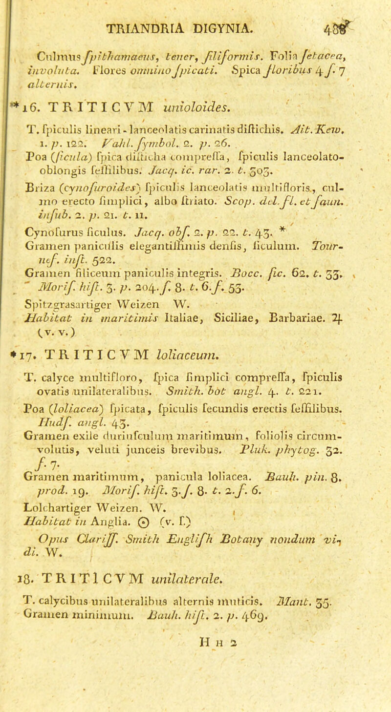 Cnhww^ amaens, tener^ filijorviis. YciWnJetacpa, involvta. Flores omniuo Jpicati. Jloribus alieriiis, ’* 16. T R IT I C V M unioloides. / T. fpiculis linear! - lanceolatis carinatis difticliis. Kew, 1. p. i22. Vahi. f^mbol. 2. p. 0.6. Poa (ficula) fpica dilhiha coiuprefla, fpiculis lanceolato- oblongis fellilibus. Jacq. ic. rar. 2. t. 505. Briza {qjuofur aides') fpiculis lanceolatis multifloris., cul- inn erecto fiiuplici, albo ftriato. Scop. del.J-l.etJawu infub. 2. p. 2i. t.w, Cynofurus ficulus. Jacq. ohf. 2. p. 22. t. 43. * Gramen panicillis elegantilamis denfiSj liculum. Tour- ntj-. inft. 522. Gramen filiceum paniculis integris. .Bocc. fic. 62» £■. 53* , Morif. hi ft. p. oob^.f Q. t. 6.f. 53. Spitzgrasartiger Weizen W. Jdabitat in maritimis Ilaliae, Siclliae, Barbariae. Tj. (.V. V.) ♦ 17. TRITICVM loUaceum. T. calyce multifloro, fpica llmplici comprelfa, fpiculis ovatis unilateralibus. Smith, bdt angl. 4. t.oox. Poa (loliacea) fpicata, fpiculis fecundis erectis feflilibus. Hudf. augl. 43. - Gramen exile duriiifculuin maritimum, foliolis circum- volutis, veluti junceis brevibus. JPluk. phytog. 32. /■7- .. Gramen maritimum, panicula loliacea. JSauh. pin. Q, prod. ig. Morif. hi ft. '^.J, 8- t. O.f. 6. Lolchartiger Weizen. W. , Habitat in Anglia. 0 (y. f.) Opus Clarijf. Smith Englifh Hotany nondum vi-^ di. W. 18- TRlTl CYM unilaterale. T. calycibus unilateralibus alternis muticis. Mant. 55- Gramen minimum. JJauh. hi ft, 2. p. 469.