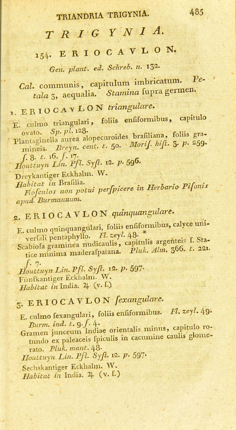 trig y n 1 a. 154. ERIOCAVLON. Gen. plant, ed. Schreh. n. 132* 485 Pd- Cal. communis, capituluni talas, aequalia. ,Stomma fupra germen. i.ERIOCA-vEON triangulare. E. culmo triangulari, £oUis enfiformibus, capitulo f. 8- 18. /. 17* ^ Houttuyn Lin. Pfl- Sjfc. i2. p> 59 Dreytantiger Eckhalm. W. ^ apiid Biirmannum. s. ERIOCAVLON quinquangidare. E. culmo ,niuqua„gularl foliU ennEonuibua, calyce nn!- ScS:;;.^aSS'nudS -cf tice minima maderafpatana. 1 luL Aim. 3 - Houbtnyn Lin. Pfl- Syfc. i2. p. 597- Fimfkantiger Eckhalm. W. Habitat in India. (v. f.) 3. ERIOCAVLON fexangulare. E cnlmofexangularl, foliis enfiformibus. Ll.zeyl.lvq^ GrfmenittmKnl^ao orientalis minua, captu|o ro- tundo ex paleaceis fpiculis in cacumine caulis ^lome- rato. Pink, rnant. 4-8- Houttuyn Lin. Pjk V' 597* Scchskantiger Eckhalm. W.