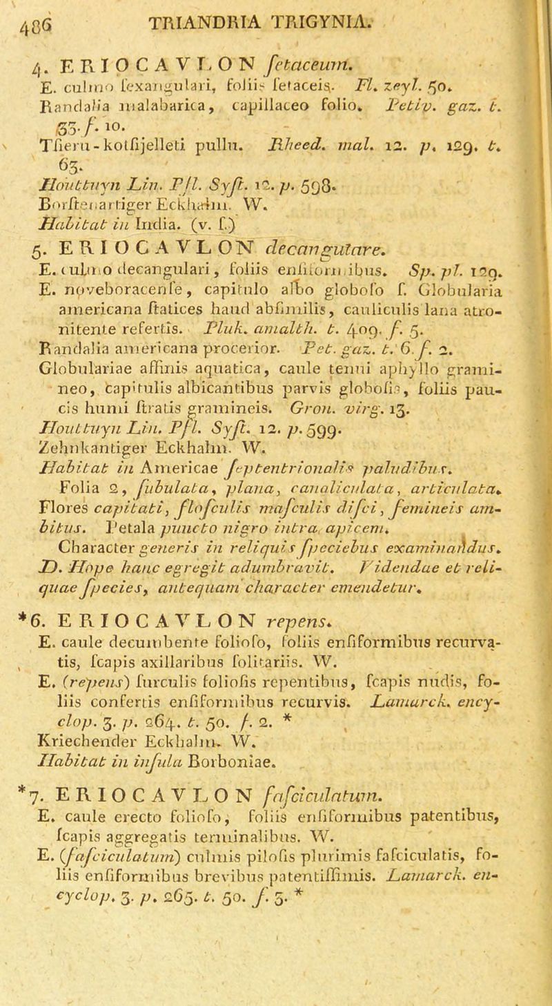 48G 4. E R I P C A V T, O N fctacewn. E. culiuo lV.'xani^ulaii, foJii.'^ I’etaceisi. FL zayl. Randa/ia aualabarica, capillaceo folio. I'ebip- gaz. b. 10. Triem-kolfijelleti pulln. Rlieed. mol. 12. ]u 129. 63. Jloubbvyn Fin. Fjl. Syji. I'l.p. 5|}8* Borffeoar liger Eckha4m. W. Halibab in India, (v. f.) 5. E R I O C A V L ON decmigulare, E. (ulmo tlecangulari, foliis enliioiii ibus. Sp. pi. I2q. E. nqveboracenfe, capitnlo afbo globolb f. GlobnJaria ainericana ftatices hand abfimilis, canlicnlis lana atro- nitenle refertls. Fluk. anialbh. b. 4'^9' f- 5 Randalia ainericana procerior. Feb. gaz. b.F.f. 1. Globnlariae afTinis aqnatica, caule tenni aphplo grami- neo, fcap'tulis albicantibus parvis globolis, foliis pan- els hnmi ftrads gramineis. Gron. virg. 13. TIonLbvyn Lin. Pfl. Syft. 12. 77.599. Zehnkantiger Eckhalni. W. FJahibab in Americae Jvpbenbrionali'f pahtdibns., Folia 2, fhbulaba., plana, ranalicnlaba, arbicnlaba^ Flores capibabi, JloJciilis majeulis difei, J-emineis arn~ hibiis. I’etala piiucbo nigro inbra. apicem. Character ge«er/j- in reliquis fpeciebus examinnhdus.. D. Flope hanc egregib adunibravib. I'idendue eb reli~ quae J^pecies^ anbeqiiam characber cmendebut\ *6. E R I O C A V L O N repens. E. caule decuiubente foliofo, foliis enfiformibus recurva- , tis, fcapis axillaribns folitariis. W. E. (repens') fnrcnlis folinfis repentibus, fcapis nudis, fo- liis confertis enfiformibus recurvis. Lamarck. ency~ clop. 3. p. 264.. b. 50. /. 2. * Kriechender Eckbalm. W. Ilabibab in injula Borboniae. *7. ERIOCAVEON fafciculntwn. E. caule erecto foliofo, foliis enfiformibus patentibus, fcapis aggregatis tenninalibus. W. E. (_fafciculabinn) culmis pilofis plurimis fafciculatis, fo- liis enfiformibus brevibns patentiffimis. Lamarck, en-