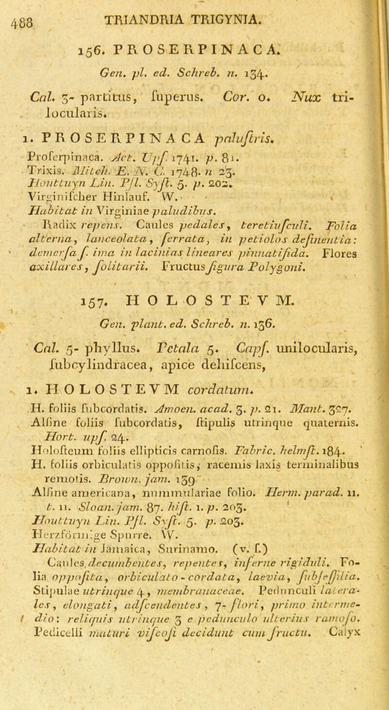 156. PROSERPINACA* Gen, jjl. ed. Schreb. n. i34* CnZ. 5-partitiis, fuperns. Cor. o* Nux tri- Jo cularis* 1. PROSE FvPINACA -pnluftris, Proferjiinaca. jdct. 67^^1741. p. 8^- Trixis. MiLeh. E. KJ, C- j748- n 23. J-JontCnyn Ein. Pjl. Syjl. 5. p. 203* A^iriiinifcher Hiniauf. W. \ Habitat in Virginiae paludihiis. Radix repens. Caules pedaleSy teretivfcidi. Folia alt'eniay lanceolata^ ferrata, in petiolos dejinentia: demcrfa J. ima in lacinias line ares pinnatijida. Flores axillares, Jolitarii. FructusJignra Polygoni. 157. H O L O S T E V M. Gen. plant, ed. Schreb. n. 136. Cnl. 5- phylliis* Pc tala 5. Capf. iinilocularis, fubcylindracea, apice deliifcens, i« IIOLOSTEVM cordatum* H. foliis fubcordatis, Amoen. acad, 3. p. 2i. Mant. 327. Alline foliis fubcordatis, ftipulis utrinque quaiernis. Hort. upf. 24* Holofteum foliis ellipfcicis carnofis. Fabric, helmjt.i^i^.. H. foliis orbiarlatis oppofit.is^ racemis laxis teriiiinalibus remofis. Broivn. jam. Alfine aniericana, nnmmulariae folio. Herm. parad. \\. t. 11. Sloan, jam. 87. hip:. 1. p. 203. ' Houttnyn Lin. Pjl. Syfc. 5. p. 203. Herzfonii-ge Spnne. \V. Habitat in isinnicti, Surinamo. (v. f.) C'<iu\os.d^cunibentes, repentefj hiferne rigidvli. Fo- lia oppnjita y orbiculato - cordata, laevia^ pthjepilia. Sx.i\m\se iitrinqve membranaccae. Pednnculi latera- Ics, elongati, adpcendentes, y-f lori, primo intcrme- / dio: relicpiis ntrinqne 3 e pcdnncido ulterius ramojo. Pedicelli maturi vijcoji dccidunt cum Jructu. Calyx