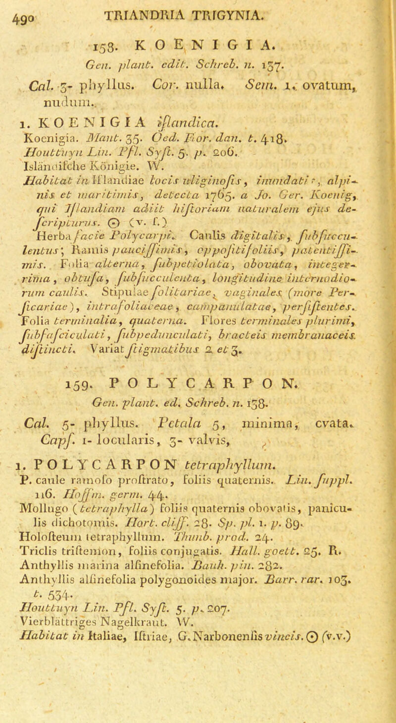 153. K O E N I G I A. Gen. j)lant. edit. Schreb. 11. 137. Cal.'Z^ pliyllas. Cor. nulla* Seui. i*. ova turn, nudum.. 1. KOENIGIA ijlandica. Kocnigia. Maut. Oed. Fior. dan. 4-i8* Houbtnyn Fin. Ffl. Syjl. 5. p. <2oO'. Islanuiiche Ivonigie. W. Habitat in Illantiiae locis idiginojis ^ imnidati •*, alpi-^ nis et niaribimis, detect a 1765. a Jo. Ger. Koenigs qni Jjlandiam adiit hijloriutu natuvalein ejiis de- jeripturvs. 0 (v. f.) Herh,\ facie Foljcarpi^ Canlis digitalis:y fnbfuccu-- lenbus\ Ramis paucijjimis^ oppojitijoliisy jjatcntiJfi-. mis. Folia aUerna, JubjjetioLata, obovata, integer-, rinia y obtujay fubluccuLcnta y longibudine interuodio^- rnni caidis. folibariacvaginales (more Ver- Jicariae)y inbrafoliaceae y campanuLabaey perJiJienbcs. Folia berminaliay quaberna. Flores bcrminales plurimiy JiihfaJciculabiy fubpedrnicrdabiy bracbeis membranaceis. dijiinebi, V'AvlditJligmatibiis 2.eb'^, 159. POLYCARPON. Gen. planb. ed. Schreb. n. 158* Cal. 5- pliyllus. Vctala 5, minima, evata.. Capf. i-locularis, 3-valvis, ^ 1. POLYCARPON bebrnphyllum. P. canle ramofo prnftrato, foliis quatemis. Lin. fuppl. ii6. IloJJ'in. germ. 44* Mollugo (^bcbraphjlla) foliis quaternis obov^alis, panicu- lis clichotomis. Hart, clijj. 23. Sp. pi. i. p. Qq. Holofteum letraphyllmn. Thnnb. prod. 24. Triclis triftemon, foliis corijugatis. Hall, go ebb. 9.^, R. Anthyllis marina allinefolia. Laiili. pin. 282. Anthyllis allinefolia polygonoides ruajor. Barr.rar. ]03. b. 534. Houbbuyn Lin. Ffl. Syfb. 5. 207. VierblaLtriges Nagelkraut. W. Habitat in ftaliae, Iftiiae, G.Narbonenllsz^/we/j'. 0 fv.v.)