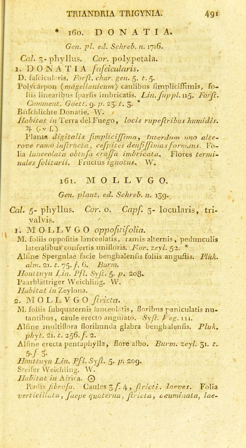 * i6o. D O N A T I A* Gen. 'pl. ed. Schreh. n. 1716. Cnl. ^,-phyllus. Cor. polypetala. 1. D O N A T 1 A f nfciculnris, D. fuldcul.^ris. Forfi. char. gen. t. PoJycarjJOn (mhgel/ajiicnni') caulibns fiinpIici/Kmis, fo- liid Ihiearibns f[)arlis ijubricatis. Lin.Jitppl.n^. Farjt. Comment-. Goebt. 9. p. 23- b. 5. * Biifchlichte Donalie. W. Hahibab in Terra del Fueg'O, locis rnpefcribus hiimidis. 2f (. V f. ) TJama digibalis finipliciJJ'ima, inberdnm mio albe~ rove ramo injtrricba ■, cej]n'bes den.pJJ'imasformants. Fo- lia laiiceolaba obbnfa c raff a imbricaba^ Flores bernii^ nales folibarii. Fmclus igndbus^ W. 161. M O L L V G O. Gen. planb, ed. Schreb. n. 159., Cal. 5- pliyllus. Cor. o. Capf. 5- locularis, tri- valVis. ' 1. MOI-iLVGO oppofitifolia. M. foliis oppofitis lanceoJatis, ramis altemis^ pedunculis lateralibus coiifertis unifloris. Fior. x.eyl. 5 2. * Alline Spergnlae facie benghaleiifis foliis anguftis. Pink. aim. 2j. b. 75./. 6. Barm. Ilouibnjn Fin. Pfl. Syfb. 5> p. 2o8» Paarblattriger Weichling. W. Jlubibab in Zeylona. 2. M O L L V G O ftricta. M. foliis fubquar.ernis lanceolalis, fJnribns p'anicularis nu- tantibus, caule erecto anguiato. Syfc.Feg.wi. Alline iuidtiflora floribumla glabra bengb.alenlis. Pluk.. phyb. 21. b. 1^6. f. 2. Alfme erecta pentaphylla, flore albo. Burm. zeyl. 31. b. 5'/5- Ilnnbbnyn Fin. PfL. Syfb. 5- p. 2og. Sreifer Weicldin^. VV. llahibab in Africa. 0 }\.\<\\y.fihrofa. Caules 3/! 4 , /Z/vV/-;. Ine7)es. Folia verbicilLuba, Jaepe quaberna, fricta, acundnaba, lae-