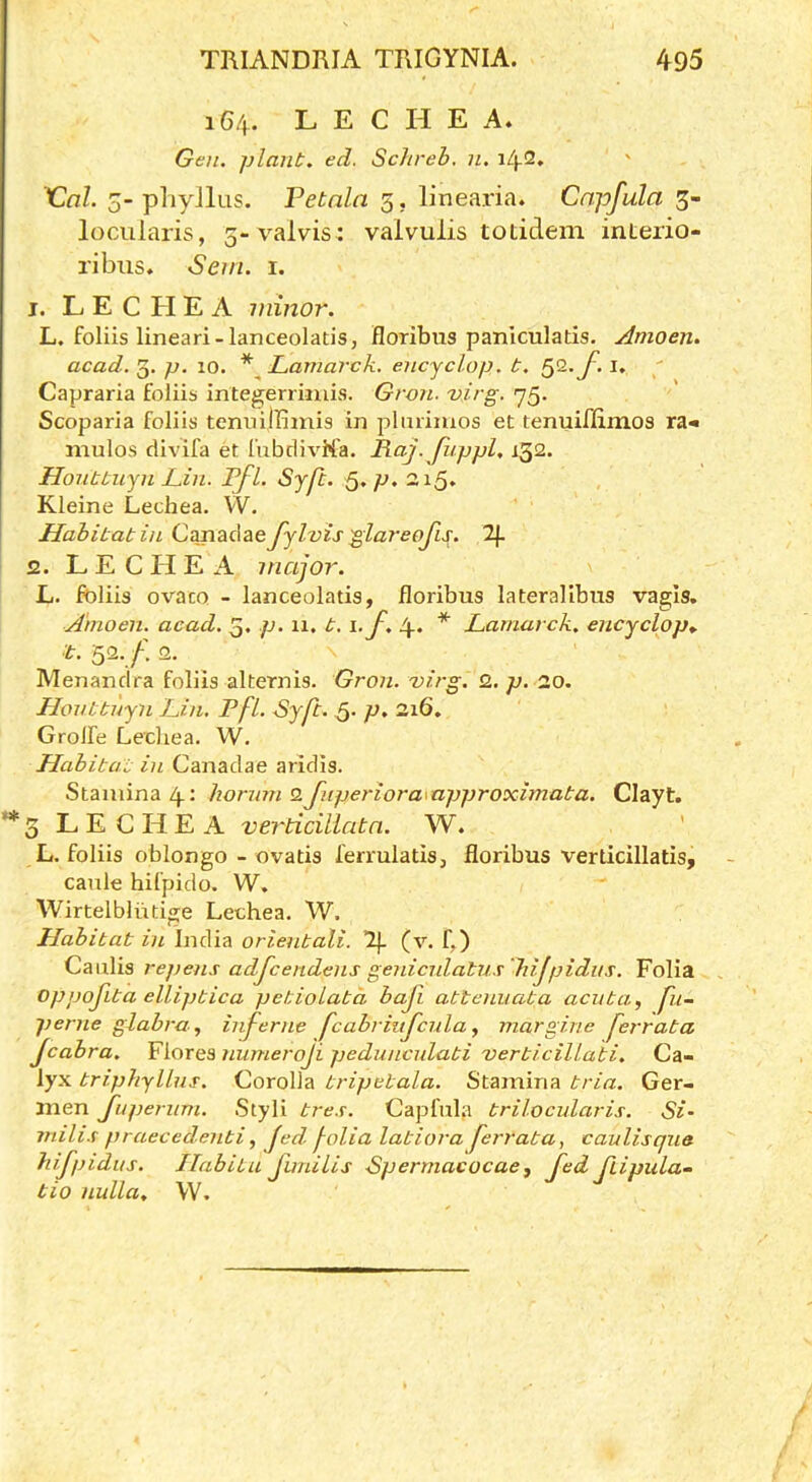 164. L E C H E A, Gen. plant, ed. Schreb. n. iZ(-2, Xlal. 5-phyJlus. Petnla 5, linearia. Cnpfula 3- locularis, 5-valvis: valvulis totidem interio- ribus. Sem. i. j. L E C tl E A minor. L. foliis linear!-lanceolatis, floribus paniculatis. Amoen. acad.’^. p. 10. * Lamarck, encyclop. t. ' Capraria foiiis integerriinis. Groii. 'virg. 75. Scoparia foliis temiillimis in pltirinios et tenuiflimos ra« mulos divifa et lubdivM’a. Raj. Jiippl. 132. Houbtuju Lin. Pfl. Sjji. 5. p. 215. Kleine Lechea. VV. Habitat ill C&ndidzefylvis glareojis. 2j. 2. L E C H E A major. L. fbliis ovaco - lanceolatis, floribus laterallbus vagis. Amoen. acad. 3. p> 11. t. \.f. 4. * Lamarck, encyclop,. t. 32. /: 2. Menandra foliis alternis. Gron. virg. 2. p. 20. Honttuyii Lin. Pfl. Syft. 5* p> 2x6, Grolfe Lecliea. W. Habitat in Canadae aridis. Stamina 4: hormn Q.Jnperiora\approximata. Clayt. **3 LECHEA verticillatn. W. ’ L. foliis oblongo - ovatis I'errulatis, floribus verticillatis, caule hifpido. W. Wirtelblixtige Lethea. W. Habitat in India orientali. I), (v. b) Caulis repens adjcendeiis genicidatus liijpidiis. Folia Oppofita elliptica petiolatd baji attenuata acuta, pi- perne glabra, inf erne fcabriujcula, margine ferrata Jcabra. Yiores numeroji pedunculati verticillati. Ca- lyx triphyllns. Corolla tripetala. Stamina tria. Ger- men Juperiim. Styli tres. Capfula trilocularis. Si’ milis praecedenti, Jed jolia latiora Jerrata, canlisque hijpidus. Habitu Jlrnilis Spermacocae, Jed Jtipula- tio nulla, W.