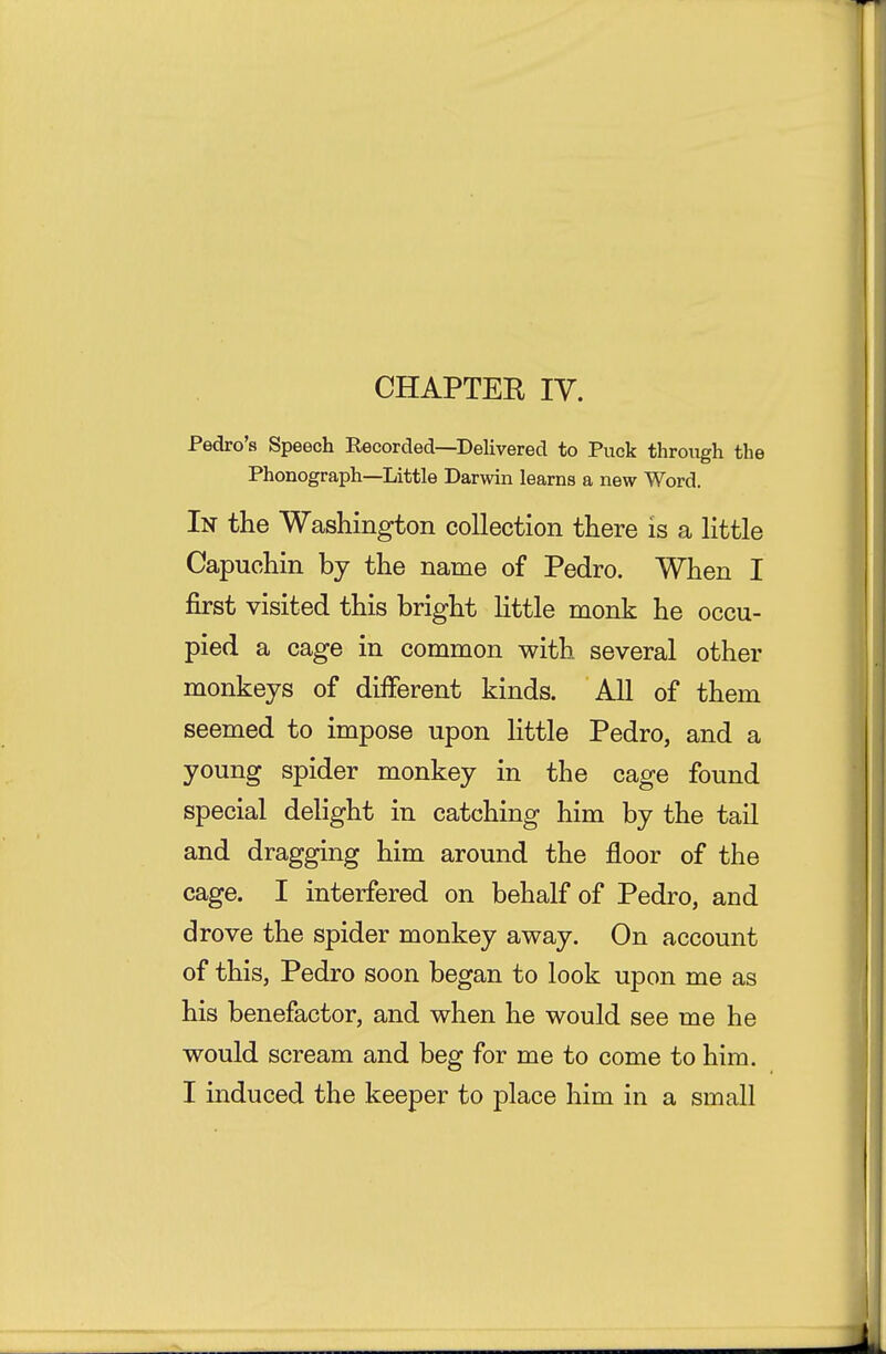 CHAPTER IV. Pedro's Speech Recorded—Delivered to Puck through the Phonograph—Little Darwin learns a new Word. In the Washington collection there is a little Capuchin by the name of Pedro. When I first visited this bright httle monk he occu- pied a cage in common with several other monkeys of different kinds. All of them seemed to impose upon little Pedro, and a young spider monkey in the cage found special delight in catching him by the tail and dragging him around the floor of the cage. I interfered on behalf of Pedro, and drove the spider monkey away. On account of this, Pedro soon began to look upon me as his benefactor, and when he would see me he would scream and beg for me to come to him. I induced the keeper to place him in a small