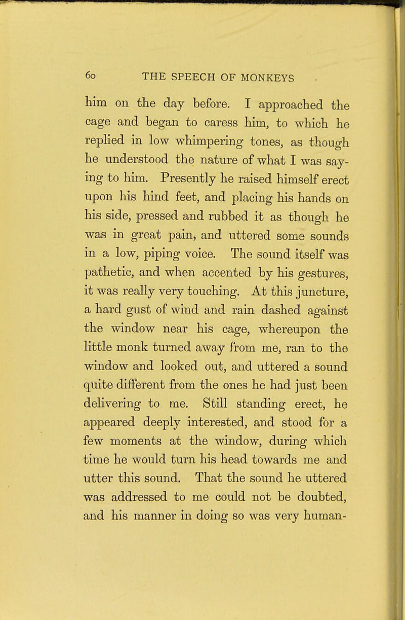 him on the day before. I approached the cage and began to caress him, to which he repHed in low whimpering tones, as though he understood the nature of what I was say- ing to him. Presently he raised himself erect upon his hind feet, and placing his hands on his side, pressed and rubbed it as though he was in great pain, and uttered some sounds in a low, piping voice. The sound itself was pathetic, and when accented by his gestures, it was really very touching. At this juncture, a hard gust of wind and rain dashed against the window near his cage, whereupon the little monk turned away from me, ran to the window and looked out, and uttered a sound quite different from the ones he had just been delivering to me. Still standing erect, he appeared deeply interested, and stood for a few moments at the window, during whicli time he would turn his head towards me and utter this sound. That the sound he uttered was addressed to me could not be doubted, and his manner in doing so was very human-