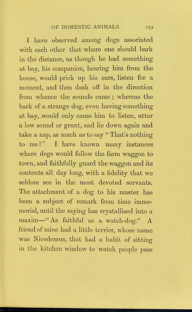 I have observed among dogs associated with each other that where one should bark in the distance, as though he had something at bay, his companion, hearing him from the house, would prick up his ears, listen for a moment, and then dash off in the direction from whence the sounds came; whereas the bark of a strange dog, even having something at bay, .would only cause him to listen, utter a low sound or grunt, and lie down again and take a nap, as much as to say  That's nothing to me! I- have known many instances where dogs would follow the farm waggon to town, and faithfully guard the waggon and its contents all. day long, with a fidelity that we seldom see in the most devoted servants. The attachment of a dog to his master has been a subject of remark from time imme- morial, until the saying has crystallised into a maxim— As faithful as a watch-dog/' A friend of mine had a little terrier, whose name was Nicodemus, that had a habit of sitting in the kitchen window to watch people pass