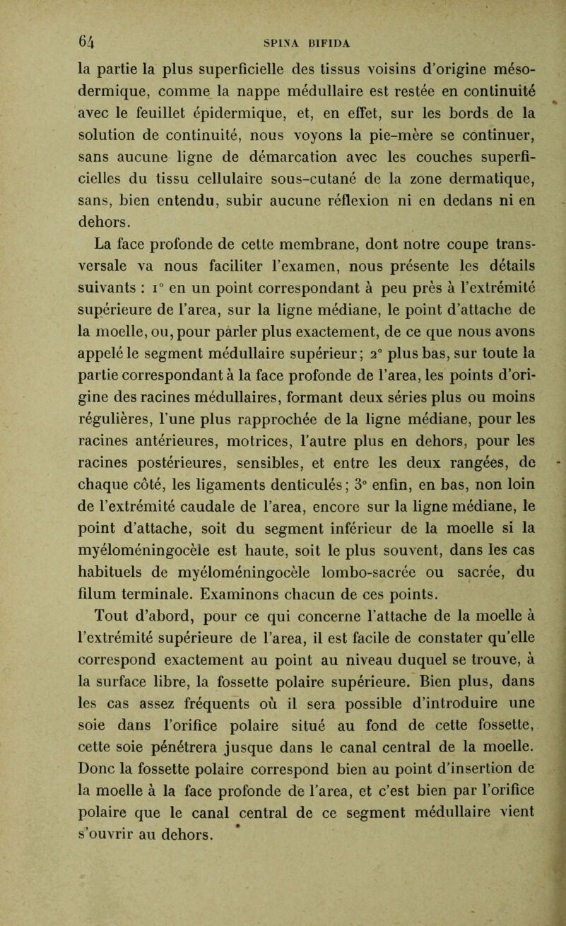 la partie la plus superficielle des tissus voisins d’origine méso- dermique, comme la nappe médullaire est restée en continuité avec le feuillet épidermique, et, en effet, sur les bords de la solution de continuité, nous voyons la pie-mère se continuer, sans aucune ligne de démarcation avec les couches superfi- cielles du tissu cellulaire sous-cutané de la zone dermatique, sans, bien entendu, subir aucune réflexion ni en dedans ni en dehors. La face profonde de cette membrane, dont notre coupe trans- versale va nous faciliter l’examen, nous présente les détails suivants : i ° en un point correspondant à peu près à l’extrémité supérieure de l’area, sur la ligne médiane, le point d’attache de la moelle, ou, pour parler plus exactement, de ce que nous avons appelé le segment médullaire supérieur; 2° plus bas, sur toute la partie correspondant à la face profonde de l’area, les points d’ori- gine des racines médullaires, formant deux séries plus ou moins régulières, l’une plus rapprochée de la ligne médiane, pour les racines antérieures, motrices, l’autre plus en dehors, pour les racines postérieures, sensibles, et entre les deux rangées, de chaque côté, les ligaments denticulés; 3° enfin, en bas, non loin de l’extrémité caudale de l’area, encore sur la ligne médiane, le point d’attache, soit du segment inférieur de la moelle si la myéloméningocèle est haute, soit le plus souvent, dans les cas habituels de myéloméningocèle lombo-sacrée ou sacrée, du filum terminale. Examinons chacun de ces points. Tout d’abord, pour ce qui concerne l’attache de la moelle à l’extrémité supérieure de l’area, il est facile de constater qu’elle correspond exactement au point au niveau duquel se trouve, à la surface libre, la fossette polaire supérieure. Bien plus, dans les cas assez fréquents où il sera possible d’introduire une soie dans l’orifice polaire situé au fond de cette fossette, cette soie pénétrera jusque dans le canal central de la moelle. Donc la fossette polaire correspond bien au point d’insertion de la moelle à la face profonde de l’area, et c’est bien par l’orifice polaire que le canal central de ce segment médullaire vient s’ouvrir au dehors.