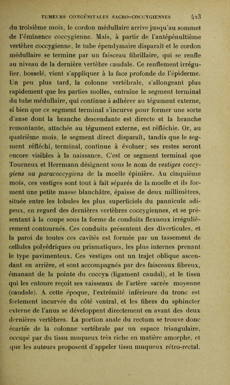 du troisième mois, le cordon médullaire arrive jusqu’au sommet de l’éminence coccygienne. Mais, à partir de l’antépénultième vertèbre coccygienne, le tube épendymaire disparaît et le cordon médullaire se termine par un faisceau fibrillaire, qui se renfle au niveau de la dernière vertèbre caudale. Ce renflement irrégu- lier, bosselé, vient s’appliquer à la face profonde de l’épiderme. Un peu plus tard, la colonne vertébrale, s’allongeant plus rapidement que les parties molles, entraîne le segment terminal du tube médullaire, qui continue à adhérer au tégument externe, si bien que ce segment terminal s’incurve pour former une sorte d’anse dont la branche descendante est directe et la branche remontante, attachée au tégument externe, est réfléchie. Or, au quatrième mois, le segment direct disparaît, tandis que le seg- ment réfléchi, terminal, continue à évoluer; ses restes seront encore visibles à la naissance. C’est ce segment terminal que Tourneux et Herrmann désignent sous le nom de vestiges coccy- giens ou paracoccygiens de la moelle épinière. Au cinquième mois, ces vestiges sont tout à fait séparés de la moelle et ils for- ment une petite masse blanchâtre, épaisse de deux millimètres, située entre les lobules les plus superficiels du pannicule adi- peux, en regard des dernières vertèbres coccygieanes, et se pré- sentant à la coupe sous la forme de conduits flexueux irréguliè- rement contournés. Ces conduits présentent des diverticules, et la paroi de toutes ces cavités est formée par un tassement de cellules polyédriques ou prismatiques, les plus internes prenant le type pavimenteux. Ces vestiges ont un trajet oblique ascen- dant en arrière, et sont accompagnés par des faisceaux fibreux, émanant de la pointe du coccyx (ligament caudal), et le tissu qui les entoure reçoit ses vaisseaux de l’artère sacrée moyenne (caudale). A. cette époque, l’extrémité inférieure du tronc est fortement incurvée du côté ventral, et les fibres du sphincter externe de l’anus se développent directement en avant des deux dernières vertèbres. La portion anale du rectum se trouve donc écartée de la colonne vertébrale par un espace triangulaire, occupé par du tissu muqueux très riche en matière amorphe, et que les auteurs proposent d’appeler tissu muqueux rétro-rectal.