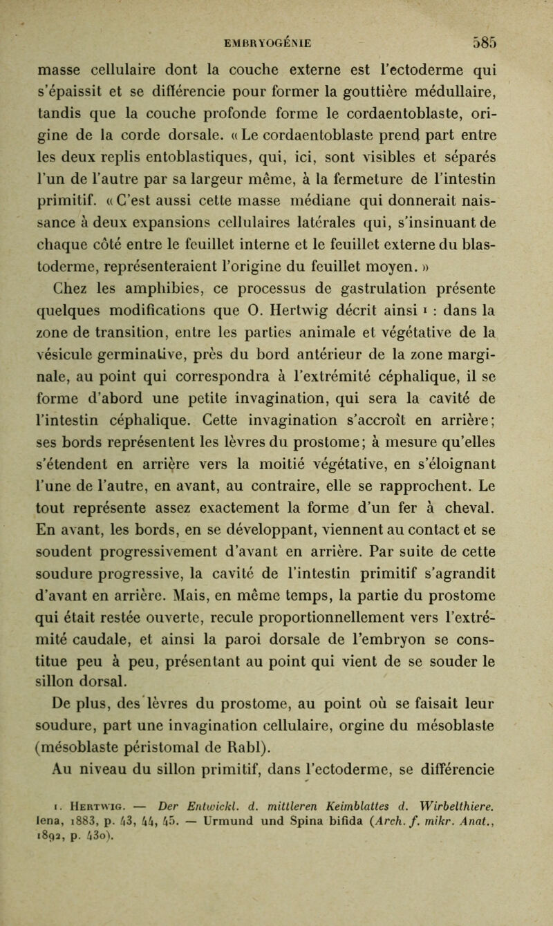 masse cellulaire dont la couche externe est l’ectoderme qui s’épaissit et se différencie pour former la gouttière médullaire, tandis que la couche profonde forme le cordaentoblaste, ori- gine de la corde dorsale. « Le cordaentoblaste prend part entre les deux replis entoblastiques, qui, ici, sont visibles et séparés l’un de l’autre par sa largeur même, à la fermeture de l’intestin primitif. « C’est aussi cette masse médiane qui donnerait nais- sance à deux expansions cellulaires latérales qui, s’insinuant de chaque côté entre le feuillet interne et le feuillet externe du blas- toderme, représenteraient l’origine du feuillet moyen. » Chez les amphibies, ce processus de gastrulation présente quelques modifications que O. Hertwig décrit ainsi i : dans la zone de transition, entre les parties animale et végétative de la vésicule germinative, près du bord antérieur de la zone margi- nale, au point qui correspondra à l’extrémité céphalique, il se forme d’abord une petite invagination, qui sera la cavité de l’intestin céphalique. Cette invagination s’accroît en arrière; ses bords représentent les lèvres du prostome; à mesure qu’elles s’étendent en arrière vers la moitié végétative, en s’éloignant l’une de l’autre, en avant, au contraire, elle se rapprochent. Le tout représente assez exactement la forme d’un fer à cheval. En avant, les bords, en se développant, viennent au contact et se soudent progressivement d’avant en arrière. Par suite de cette soudure progressive, la cavité de l’intestin primitif s’agrandit d’avant en arrière. Mais, en même temps, la partie du prostome qui était restée ouverte, recule proportionnellement vers l’extré- mité caudale, et ainsi la paroi dorsale de l’embryon se cons- titue peu à peu, présentant au point qui vient de se souder le sillon dorsal. De plus, des lèvres du prostome, au point où se faisait leur soudure, part une invagination cellulaire, orgine du mésoblaste (mésoblaste péristomal de Rabl). Au niveau du sillon primitif, dans l’ectoderme, se différencie i. Hertwig. — Der Entwickl. d. mittleren Keimblattes d. Wirbelthiere. lena, 1883, p. 43, 44, 45. — Urmund und Spina bifida (Arch. f. mikr. Anat., 189a, p. 43o).