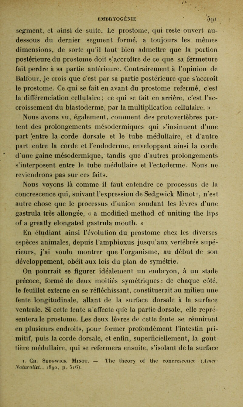 segment, et ainsi de suite. Le prostome, qui reste ouvert au- dessous du dernier segment formé, a toujours les mêmes dimensions, de sorte qu’il faut bien admettre que la portion postérieure du prostome doit s'accroître de ce que sa fermeture fait perdre à sa partie antérieure. Contrairement à l’opinion de Balfour, je crois que c’est par sa partie postérieure que s’accroît le prostome. Ce qui se fait en avant du prostome refermé, c’est la différenciation cellulaire ; ce qui se fait en arrière, c’est l’ac- croissement du blastoderme, par la multiplication cellulaire. » Nous avons vu, également, comment des proto vertèbres par- tent des prolongements mésodermiques qui s’insinuent d’une part Rentre la corde dorsale et le tube médullaire, et d’autre part entre la corde et l’endoderme, enveloppant ainsi la corde d’une gaine mésodermique, tandis que d’autres prolongements s’interposent entre le tube médullaire et l’ectoderme. Nous ne reviendrons pas sur ces faits. Nous voyons là comme il faut entendre ce processus de la concrescence qui, suivant l’expression de Sedgwick Minot 1, n’est autre chose que le processus d’union soudant les lèvres d'une gastrula très allongée, « a modified method of uniting the lips of a greatly elongated gastrula mouth. » En étudiant ainsi l’évolution du prostome chez les diverses espèces animales, depuis l’amphioxus jusqu’aux vertébrés supé- rieurs, j’ai voulu montrer que l’organisme, au début de son développement, obéit aux lois du plan de symétrie. On pourrait se figurer idéalement un embryon, à un stade précoce, formé de deux moitiés symétriques : de chaque côté, le feuillet externe en se réfléchissant, constituerait au milieu une fente longitudinale, allant de la surface dorsale à la surface ventrale. Si cette fente n’affecte que la partie dorsale, elle repré- sentera le prostome. Les deux lèvres de cette fente se réuniront en plusieurs endroits, pour former profondément l’intestin pri- mitif, puis la corde dorsale, et enfin, superficiellement, la gout- tière médullaire, qui se refermera ensuite, s’isolant de la surface 1. Ch. Sedgwick Minot. — The theory of the concrescence (Amer- Xaturalist., 1890, p. 5if>).