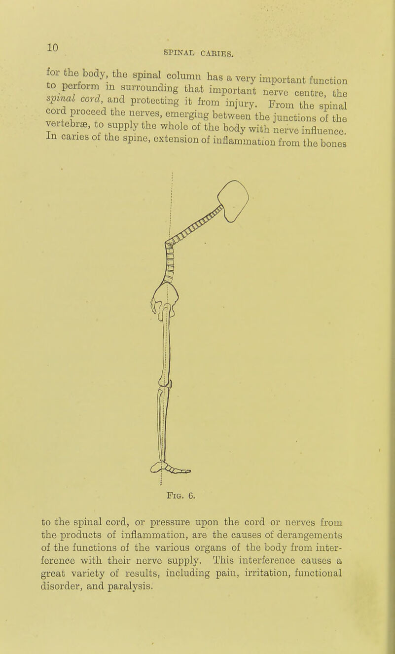 SPINAL CARIES, or the body, the spinal column has a very important function to perform m surroundmg that important nerve centre, the sp^nal oor.Z and protecting it from injury. From the spinal coid proceed the nerves, emerging between the junctions of the vertebrae, to supply the whole of the body with nerve influence. In caries of the spme, extension of inflammation from the bones Pig. 6. to the spinal cord, or pressure upon the cord or nerves fi-om the products of inflammation, are the causes of derangements of the functions of the various organs of the body from inter- ference with their nerve supply. This interference causes a great variety of results, including pain, irritation, functional disorder, and paralysis.