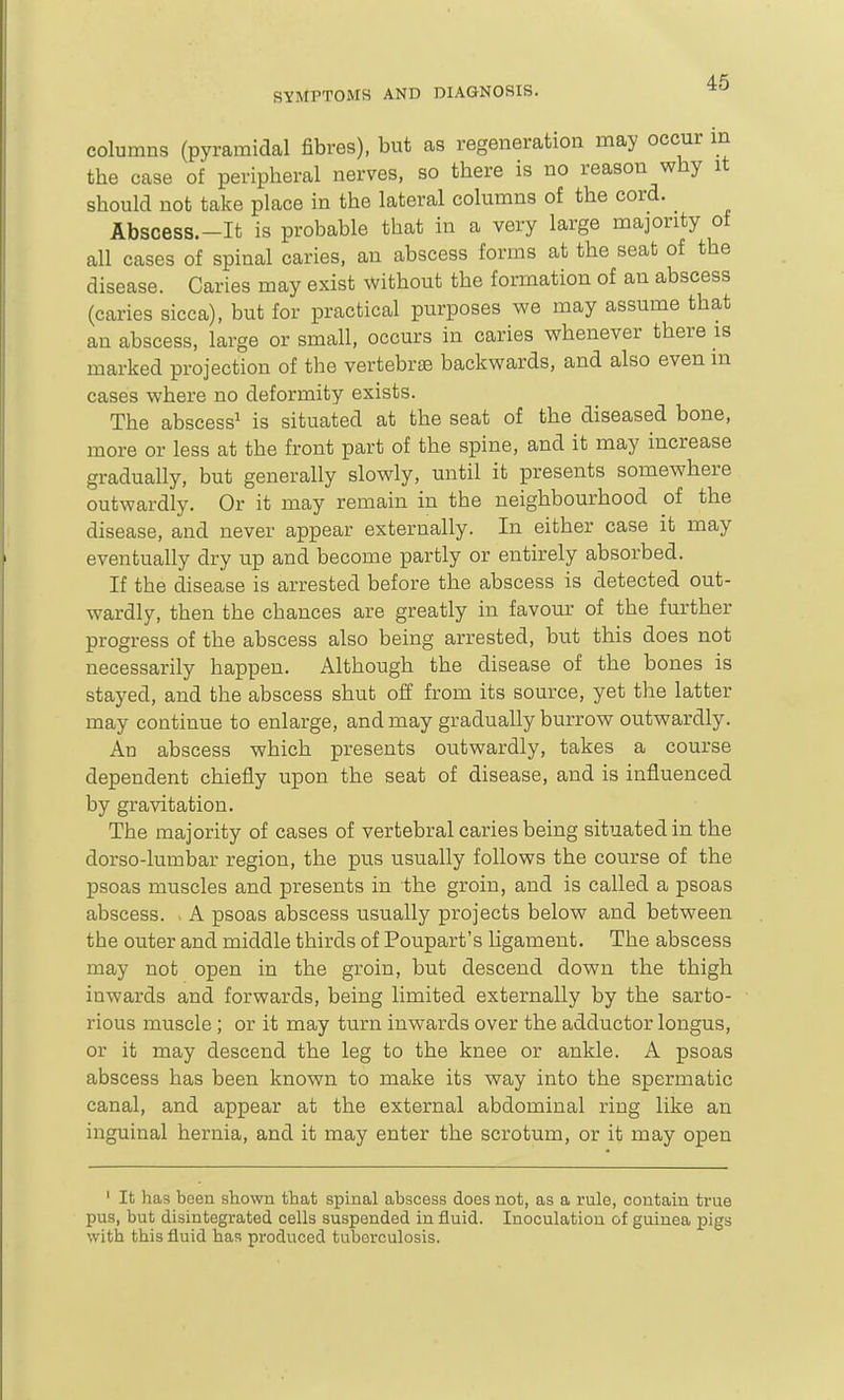 columns (pyramidal fibres), but as regeneration may occur in the case of peripheral nerves, so there is no reason why it should not take place in the lateral columns of the cord. Abscess.-It is probable that in a very large majority of all cases of spinal caries, an abscess forms at the seat of the disease. Caries may exist without the formation of an abscess (caries sicca), but for practical purposes we may assume that an abscess, large or small, occurs in caries whenever there is marked projection of the vertebrae backwards, and also even m cases where no deformity exists. The abscess^ is situated at the seat of the diseased bone, more or less at the front part of the spine, and it may increase gradually, but generally slowly, until it presents somewhere outwardly. Or it may remain in the neighbourhood of the disease, and never appear externally. In either case it may eventually dry up and become partly or entirely absorbed. If the disease is arrested before the abscess is detected out- wardly, then the chances are greatly in favour of the further progress of the abscess also being arrested, but this does not necessarily happen. Although the disease of the bones is stayed, and the abscess shut off from its source, yet the latter may continue to enlarge, and may gradually burrow outwardly. An abscess which presents outwardly, takes a course dependent chiefly upon the seat of disease, and is influenced by gravitation. The majority of cases of vertebral caries being situated in the dorso-lumbar region, the pus usually follows the course of the psoas muscles and presents in the groin, and is called a psoas abscess. . A psoas abscess usually projects below and between the outer and middle thirds of Poupart's ligament. The abscess may not open in the groin, but descend down the thigh inwards and forwards, being limited externally by the sarto- rious muscle ; or it may turn inwards over the adductor longus, or it may descend the leg to the knee or ankle. A psoas abscess has been known to make its way into the spermatic canal, and appear at the external abdominal ring like an inguinal hernia, and it may enter the scrotum, or it may open ' It has been shown that spinal abscess does not, as a rule, contain true pus, but disintegrated cells suspended in fluid. Inoculation of guinea pigs with this fluid has produced tuberculosis.