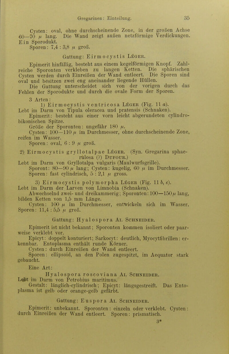 Cysten: oval, ohne durchscheinende Zone, in der großen Achse QQ—70 /ii lang. Die Wand zeigt außen netzförmige Verdickungen. Ein Sporodukt. Sporen: 7,4 : 3,8 u groß. Gattung: Eirmocystis Leger. Epimerit hinfällig, besteht aus einem kegelförmigen Knopf. Zahl- reiche Sporonten verkleben zu langen Ketten. Die sphärischen Cysten werden durch Einreißen der Wand entleert. Die Sporen sind oval und besitzen zwei eng aneinander liegende Hüllen. Die Gattung unterscheidet sich von der vorigen durch das Fehlen der Sporodukte und durch die ovale Form der Sporen. 3 Arten: 1) Eirmocystis ventricosa Leger (Fig. IIa). Lebt im Darm von Tipula oleracea und pratensis (Schnaken). Epimerit: besteht aus einer vorn leicht abgerundeten cylindro- bikonischen Spitze. Größe der Sporonten: ungefähr 180 /<. Cysten: 100—HO ^t« im Durchmesser, ohne durchscheinende Zone, reifen im Wasser. Sporen: oval, Q : 9 /^i groß. 2) Eirmocystis gryllotalpae Leger. (Syn. Gregarina sphae- rülosa (?) DuFOUR.) Lebt im Darm von Gryllotalpa vulgaris (Maulwurfsgrille). Sporont: 80—90 f.i lang; Cysten: kugelig, 60 jti im Durchmesser. Sporen: fast cylindrisch, 5 : 2,1 /n gross. 3) Eirmocystis polymorpha Leger (Fig. 11 6, e). Lebt im Darm der Larven von Limnobia (Schnaken). Abwechselnd zwei- und dreikammerig; Sporonten: 100—150/< lang, bilden Ketten von 1,5 mm Länge. Cysten: 100 f.i im Durchmesser, entwickeln sich im Wasser. Sporen: 11,4 : 5,5 /ti groß. Gattung: Hyalospora Ai. Schneider. Epimerit ist nicht bekannt; Sporonten kommen isoliert oder paar- weise verklebt vor. Epicyt: doppelt konturiert; Sarkocyt: deutlich, Myocytfibrillen: er- kennbar. Entoplasma enthält runde Körner. Cysten: durch Einreißen der Wand entleert. Sporen: ellipsoid, an den Polen zugespitzt, im Aequator stark gebaucht. Eine Art: Hyalospora roscoviana Ai. Schneider. L^t im Darm von Petrobius maritimus. Gestalt: länglich-cylindrisch; Epicyt: längsgestreift. Das Ento- plasma ist gelb oder orange-gelb gefärbt. Gattung: Euspora Ai. Schneider. Epimerit: unbekannt. Sporonten: einzeln oder verklebt. Cysten: durch Einreißen der Wand entleert. Sporen: prismatisch. 3*