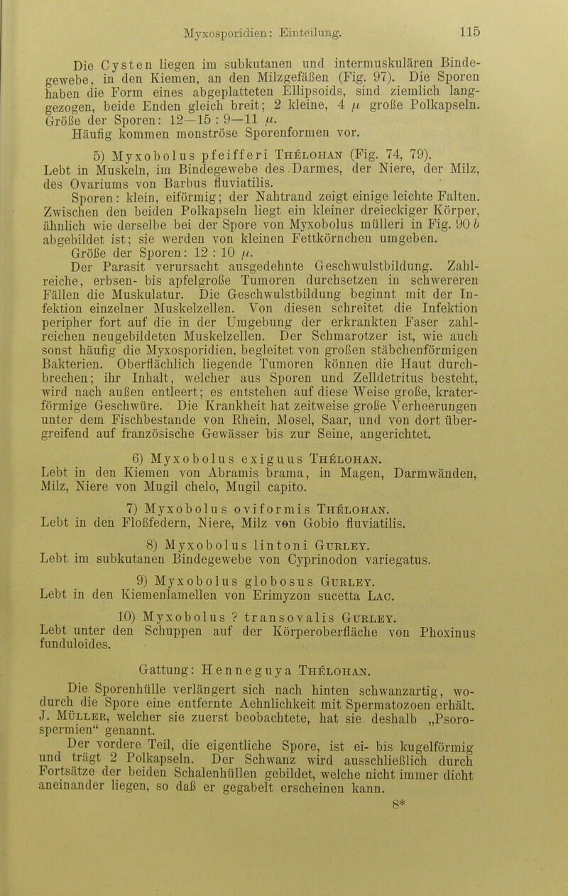 Die Cysten liegen im subkutanen und intermuskulären Binde- gewebe, in den Kiemen, an den Milzgefäßen (Fig. 97). Die Sporen haben die Form eines abgeplatteten Ellipsoids, sind ziemlich lang- gezogen, beide Enden gleich breit; 2 kleine, 4 /i große Polkapseln. Größe der Sporen: 12—15:9—11 i-i. Häufig kommen monströse Sporenformen vor. 5) Myxobolus pfeifferi Thelohan (Fig. 74, 79). Lebt in Muskeln, im Bindegewebe des . Darmes, der Niere, der Milz, des Ovariums von Barbus fluviatilis. Sporen: klein, eiförmig; der Nahti^and zeigt einige leichte Falten. Zwischen den beiden Polkapseln liegt ein kleiner dreieckiger Körper, ähnlich wie derselbe bei der Spore von Myxobolus mülleri in Fig. 90 h abgebildet ist; sie werden von kleinen Fettkörnchen umgeben. Größe der Sporen: 12 : 10 /<. Der Parasit verursacht ausgedehnte Geschwulstbildung. Zahl- reiche, erbsen- bis apfelgroße Tumoren durchsetzen in schwereren Fällen die Muskulatur. Die Geschwulstbildung beginnt mit der In- fektion einzelner Muskelzellen. Von diesen schreitet die Infektion peripher fort auf die in der Umgebung der erkrankten Faser zahl- reichen neugebildeten Muskelzellen. Der Schmarotzer ist, wie auch sonst häufig die Myxosporidien, begleitet von großen stäbchenförmigen Bakterien. Oberflächlich liegende Tumoren können die Haut durch- brechen; ihr Inhalt, welcher aus Sporen und Zelldetritus besteht, wird nach außen entleert; es entstehen auf diese Weise große, krater- förmige Geschwüre. Die Krankheit hat zeitweise große Verheerungen unter dem Fischbestande von Rhein, Mosel, Saar, und von dort über- greifend auf französische Gewässer bis zur Seine, angerichtet. 6) Myxobolus exiguus Thelohan. Lebt in den Kiemen von Abramis brama, in Magen, Darmwänden, Milz, Niere von Mugil chelo, Mugil capito. 7) Myxobolus oviformis Thelohan. Lebt in den Floßfedern, Niere, Milz von Gobio fluviatilis. 8) Myxobolus lintoni Gurley. Lebt im subkutanen Bindegewebe von Cyprinodon variegatus. 9) Myxobolus globosus Gurley. Lebt in den Kiemenlamellen von Erimyzon sucetta Lac. 10) Myxobolus ? transovalis Gurley. Lebt unter den Schuppen auf der Körperoberfläche von Phoxinus funduloides. Gattung: Henneguya Thelohan. Die Sporenhülle verlängert sich nach hinten schwanzartig, wo- durch die Spore eine entfernte Aehnlichkeit mit Spermatozoon erhält. J. Müller, welcher sie zuerst beobachtete, hat sie deshalb „Psoro- spermien genannt. Der vordere Teil, die eigentliche Spore, ist ei- bis kugelförmig und trägt 2 Polkapseln. Der Schwanz wird ausschließlich durch Fortsätze der beiden Schalenhüllen gebildet, welche nicht immer dicht aneinander liegen, so daß er gegabelt erscheinen kann. 8*