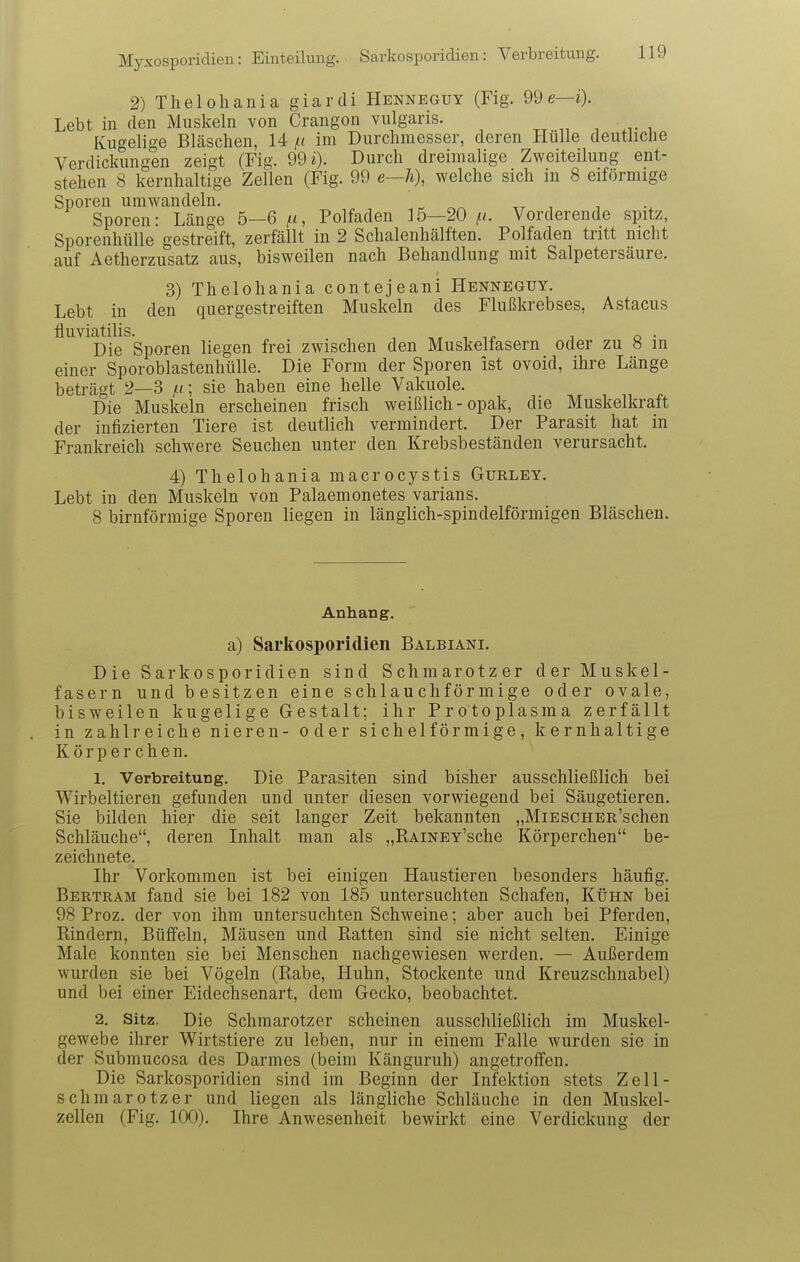 2) Thelohania giardi Henneguy (Fig. 99e—i). Lebt in den Muskeln von Crangon vulgaris. , , Kugelige Bläschen, 14 in im Durchmesser, deren Hülle deutliche Verdickungen zeigt CFig. 99 i). Durch dreimalige Zweiteilung ent- stehen 8 kernhaltige Zellen (Fig. 99 e—Ji), welche sich in 8 eiförmige Sporen umwandeln. „ ^ , Sporen: Lcänge 5—6 j«, Polfaden 35—20 ^i. Vorderende spitz, Sporenhülle gestreift, zerfällt in 2 Schalenhälften. Polfaden tritt nicht auf Aetherzusatz aus, bisweilen nach Behandlung mit Salpetersäure. 3) Thelohania contejeani Henneguy. Lebt in den quergestreiften Muskeln des Flußkrebses, Astacus fluviatilis. , , ip , o • Die Sporen liegen frei zwischen den Muskelfasern oder zu 8 in einer Sporoblastenhülle. Die Form der Sporen ist ovoid, ihre Länge beträgt 2—3 /li; sie haben eine helle Vakuole. Die Muskeln erscheinen frisch weißlich-opak, die Muskelkraft der infizierten Tiere ist deutlich vermindert. Der Parasit hat in Frankreich schwere Seuchen unter den Krebsbeständen verursacht. 4) Thelohania macrocystis Gurley. Lebt in den Muskeln von Palaemonetes varians. 8 birnförmige Sporen liegen in länglich-spindelförmigen Bläschen. Anhang. a) Sarkosporidien Balbiani. D ie Sarkosporidien sind Schmarotzer der Muskel- fasern und besitzen eine schlauchförmige oder ovale, bisweilen kugelige Gestalt; ihr Protoplasma zerfällt in zahlreiche nieren- oder sichelförmige, kernhaltige Körper chen. 1. Verbreitung. Die Parasiten sind bisher ausschließlich bei Wirbeltieren gefunden und unter diesen vorwiegend bei Säugetieren. Sie bilden hier die seit langer Zeit bekannten „MiESCHER'schen Schläuche, deren Inhalt man als „RAiNEY'sche Körperchen be- zeichnete, Ihr Vorkommen ist bei einigen Haustieren besonders häufig. Bertram fand sie bei 182 von 185 untersuchten Schafen, Kühn bei 98 Proz. der von ihm untersuchten Schweine; aber auch bei Pferden, Rindern, Büffeln, Mäusen und Ratten sind sie nicht selten. Einige Male konnten sie bei Menschen nachgewiesen werden. — Außerdem wurden sie bei Vögeln (Rabe, Huhn, Stockente und Kreuzschnabel) und bei einer Eidechsenart, dem Gecko, beobachtet. 2. Sitz. Die Schmarotzer scheinen ausschließlich im Muskel- gewebe ihrer Wirtstiere zu leben, nur in einem Falle wurden sie in der Submucosa des Darmes (beim Känguruh) angetroffen. Die Sarkosporidien sind im Beginn der Infektion stets Zell- schmarotzer und liegen als längliche Schläuche in den Muskel- zellen (Fig. 100). Ihre Anwesenheit bewirkt eine Verdickung der