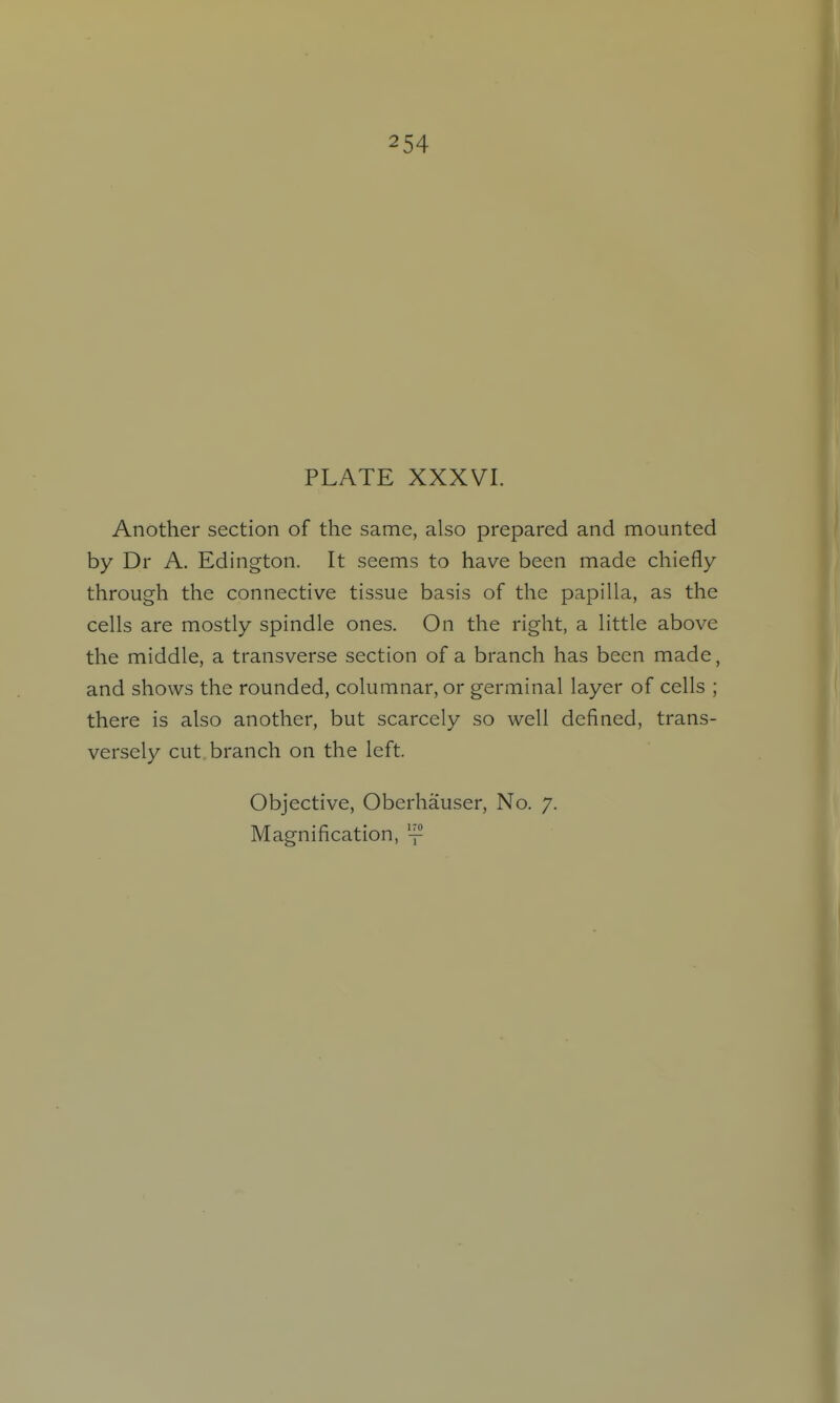 254 PLATE XXXVI. Another section of the same, also prepared and mounted by Dr A. Edington. It seems to have been made chiefly- through the connective tissue basis of the papilla, as the cells are mostly spindle ones. On the right, a little above the middle, a transverse section of a branch has been made, and shows the rounded, columnar, or germinal layer of cells ; there is also another, but scarcely so well defined, trans- versely cut branch on the left. Objective, Oberhauser, No. 7. Magnification, '-^