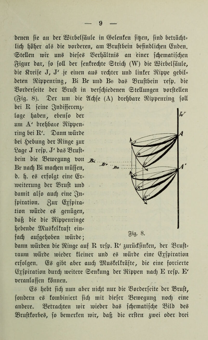 beiten fie au ber 2Birbelfäufe in ©elenfen fi|ett, finb beträcf)t= lieh hoher all bie borberen, am 35ruft6ein befinblichett (£nben. ©teilen mir uni biefel SBerhältni! an einer fcfjematifdjen gigur bar, fo foE ber fenfredjte ©tridfj (W) bie äBirbelfäule, bie Greife J, J' je einen aul rechter unb linfer fRippe gebil= beten 9?ippenring, Bi Br unb Be bal SBruftbein refp. bie ^Sorberfeite ber SBruft in Oerfchiebenen ©teEungen OorfteEen (gig. 8). 2)er um bie 2td)fe (A) brehbare fRippenring foE bei R feine Qnbifferen5= läge fabelt, ebenfo ber nnt A' brehbare 9^ippen= ring bei R'. £)amt mürbe bei Hebung ber Dringe §ur Sage J refp. J' bal 23ruft* bcitt bie SBemegung Pott Br nad) Bi machen muffen, r b. h- el erfolgt eine (£r= meiterung ber SBruft unb bamit alfo auch eine Qn= fpiration. gur (Sgfpira* tion mürbe el genügen, baß bie bie Eftppeitringe hebenbe EJfulfelfraft eiit= facf> aufgehoben mürbe; bann mürben bie Sftinge auf R refp. R' gurüdfinfett, ber 23ruft= raum mürbe mieber fleiner unb el mürbe eine (Sjfpiration erfolgen. (Sl gibt aber auch Sftulfelfräfte, bie eine forcierte (Sjfpiration burch weitere ©enfrtng ber Rippen nach E refp. E' oerattlaffen föniten. @1 hebt fid) nun aber nicht nur bie $orberfeite ber 23ruft, foubern el fombiniert fich mit biefer SBemegung noch eine anbere. ^Betrachten mir mieber bal fdjematifche SBilb bei SBruftforbel, fo benterfen mir, bafc bie erften §mei ober brei