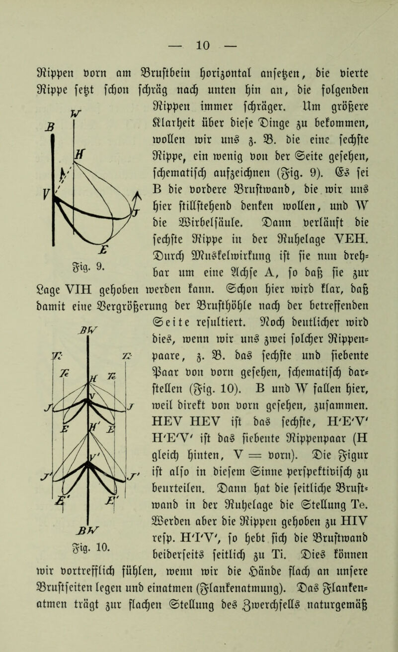 BW Rippen öorn am 33ruftbein ßorigontal anfe^ett, bie vierte 9?ippe fe£t fd&oit fcßräg nad) unten ßin an, bie fotgenben Rippen immer fdfjräger. Um größere $larfyeit über biefe Dinge §u befommen, motten mir m\§ 33. bie eine fecßfte Stippe, ein menig tmit ber ©eite gefeßen, fcßematifd) aufjeicßnen (gig. 9). (S* fei B bie öorbere 33ruftmanb, bie mir mt§ ßier ftittfteßenb benfen motten, nnb AV bie SBirbetfäuIe. Dann Verläuft bie fecßfte ttfippe in ber 9?ußelage VEH. Durdj 50?u§felmir!ung ift fie mut breß= bar um eine 3lcßfe A, fo baß fie jur Sage VIH gehoben merben fann. ©dßon ßier mirb ftar, baß bamit eine Vergrößerung ber 33ruftßößte nacß ber betreffenben ©eite refultiert. üftocß beutlicßer mirb bie§, menn mir un3 jmei fold^er 9?ippen= paare, §. 33. ba§ fecßfte unb fiebente ?ßaar tmn Oorn gefeßen, fcßematifcß bar= ftetten (gig. 10). B unb W faßen ßier, meil bireft t)on öorn gefeßen, §ufammen. HEV HEV ift ba§ fecßfte, H'E'V' H'E'V' ift ba§ fiebente 9?ippenpaar (H gleidt) ßinten, V = tmrn). Die gigur ift alfo in biefern ©inne perfpeftioifcß 51t benrtetten. Dann ßat bie feitlicße 33ruft= manb in ber 9?ußetage bie ©tettung Te. 2Berben aber bie Rippen gehoben §u HIV refp. H'I'V', fo ßebt ficß bie 33ruftmanb beiberfeit» feitlidj §u Ti. Die§ fönnen mir Oortrefftid) füßten, memt mir bie £)änbe flacß an unfere 33ruftfeiten legen unb einatmen (glanfenatmung). Da§ glanten* atmen trägt jur flacßeit ©tettung be§ 3lüerc^fe^^ naturgemäß