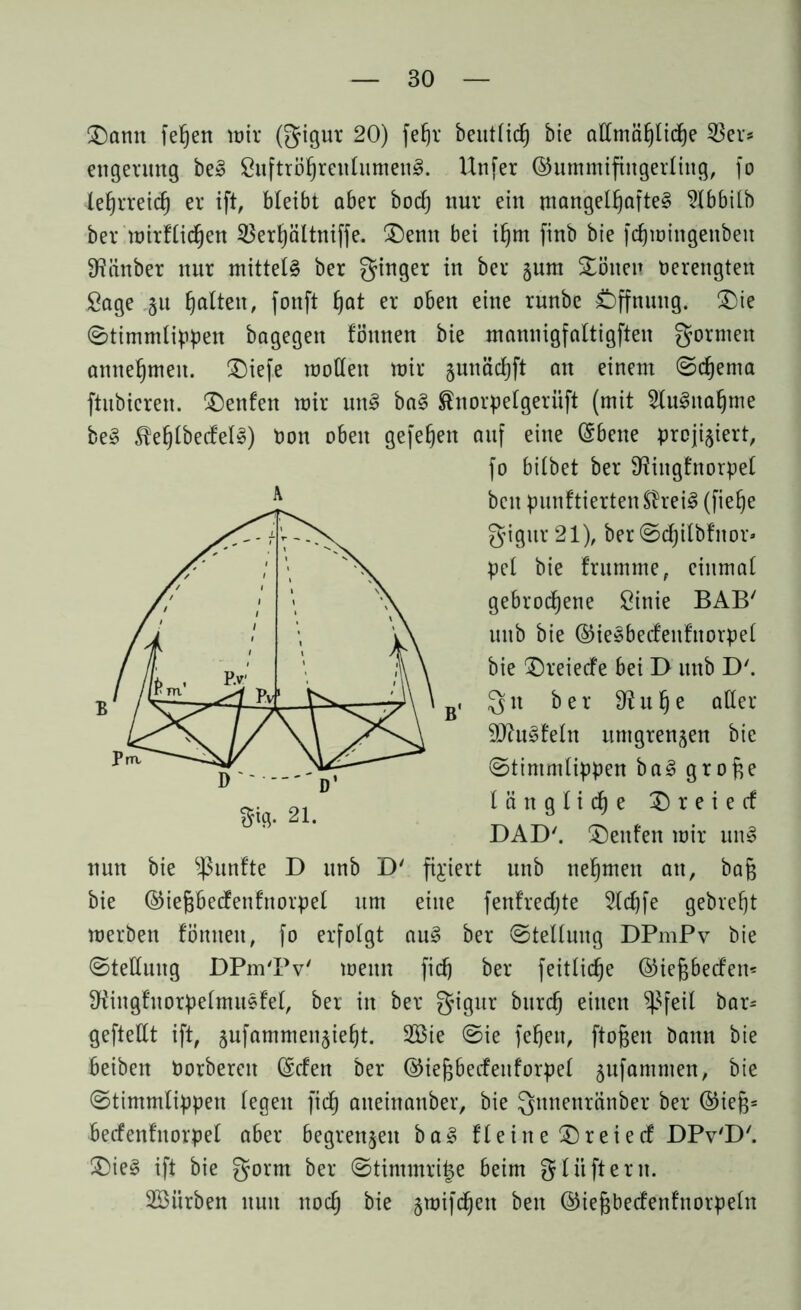 Dann fefjett wir (gigur 20) feljr beutlidj bie allmähliche 23er* engerung beS SuftröhreulumenS. Unfer ©ummifiitgerliug, fo lehrreich er ift, bleibt aber bocf) nur ein mangelhaftes Slbbilb ber wirtlichen 23erhältniffe. Denn bei ihm finb bie fdfwingenbeu fRänber nur mittels ber ginger in ber jum Dänen mengten Sage §u halten, fonft hot er oben eine runbe Öffnung. Die ©timmlippen bagegett fönnen bie mannigfaltigften gormen annehmen. Diefe wollen wir §unäcf)ft an einem (Schema ftubicren. Denfen wir unS baS fönorpelgeriift (mit Ausnahme beS JtefflbecfelS) Oon oben gefehert auf eine (Sbene projiziert, nun bie fünfte D unb D' fixiert unb nehmen an, baff bie ©iejgbecfenfnorpel um eine [entrechte 5lcf[fe gebrefjt werben fönnen, fo erfolgt auS ber (Stellung DPmPv bie (Stellung DPm'Pv' wenn fich ber feitlidje ©iefjbecfen* StfiugfuorpelmuSfel, ber in ber gigur burch einen Sßfeil bar= geftellt ift, jufammenzieht. 2Bie (Sie [elfen, ftoffen bann bie beiben Oorbercit (£cfen ber ©iefjbecfeuforpel zufammen, bie (Stimmlippen legen fich aneinanber, bie gnnenränber ber ©iefj= becfenfitorpel aber begrenzen baS fleine Dreiecf DPv'D'. (Dies ift bie gorm ber ©timmrii^e beim gliiftern. Söiirben nun noch bie zroiKhe11 beit ©iefjbecfenfnorpeln D '' ' d’ m-21- A fo bilbet ber Ülittgfnorpel beit punftiertenSheiS (fiehe gigur 21), ber ©djilbfitor» pel bie frumme, einmal gebrochene Sinie BAB' unb bie ©ieSbecfenfnorpel bie Dreiecfe bei D unb D'. gtt ber Üluhe aller 9JhtSfeln umgrenzen bie ©timmlippen baS grofte längliche D r e i e cf DAD'. Deuten wir unS