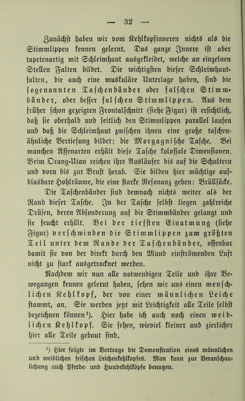 gunächfi fabelt mir tmm $ehlfopfinnereit nid)t§ al£ bie Stimmlippen fennen gelernt. S)a§ ganze gnnere ift aber tapetenartig mit Schleimhaut aulgefleibet, melche an einzelnen Stellen galten bitbet. Sie midjtigften biefer Schleimhaut* falten, bie auch eine muSfuläre Unterlage haben, finb bie fogenannten Safcfjenbänber ober falfdjen Stimm* bänber, ober beffer falfchen Stimmlippen. Au3 bem früher fefjon gezeigten grontalfchnitt (fiehe gigur) ift erfichtlicf), bafj fie oberhalb unb feitlidh ben Stimmlippen parallel laufen uitb baß bie Schleimhaut zmifcljen ihnen eine grofje tafdjen-' ähnliche Vertiefung bilbet: bie 9ftorgagnifche Safcfje. Vei manchen Affenarten erhält biefe Safcfje foloffale Simenfionen. Veirn £)rang*Utan reichen ihre Ausläufer bi§ auf bie Schultern unb Oorn bi3 §ur Vruft herab. Sie hüben h^r mächtige auf* bla^bare §ohlräume, bie eine ftarfe Sfefonanz geben: VriiUfäcfe. Sie Safcfjenbänber finb bemnach nicht» meiter al§ ber 9?anb biefer Safche. gn ber SSafche felbft liegen zahlreiche Prüfen, beren AbfouDerung auf bie Stimmbänber gelangt unb fie feucht erhält. Vei ber tiefften (Einatmung (fiehe gigur) 0 erfchmittben bie Stimmlippen jum größten 5Leit unter bem 9?anbe ber Saf djeubänber, offenbar bamit fie Don ber bireft burch ben äftunb einftrömenben Suft nicht ju ftar! auggetroefnet merben. •ftachbem mir nun alle notmenbigen Seile unb ihre Ve= megungen fennen gelernt haben, fefjen mir un§ einen menfd)= liehen ^ehtfopf, ber Oon einer männlichen Seiche ftammt, an. Sie merben je£t mit Seichtigfeit alle Seile felbft bezeichnen fönnen1). §ier habe ich auch noch einen meib« liehen ®eh!fopf. Sie fehen, mieoiel fleiner unb zierlidjer hier alle Seile gebaut finb. *) §ier folgte im Vorträge bie Semonftration eineö männlichen unb roeiblichen frifd^en £eichenfehlfopfe3. 9Jtan fann jur SBeranfdfjau* licfiung auch ^ßferbe* unb <punbefehlföpfe benutzen.