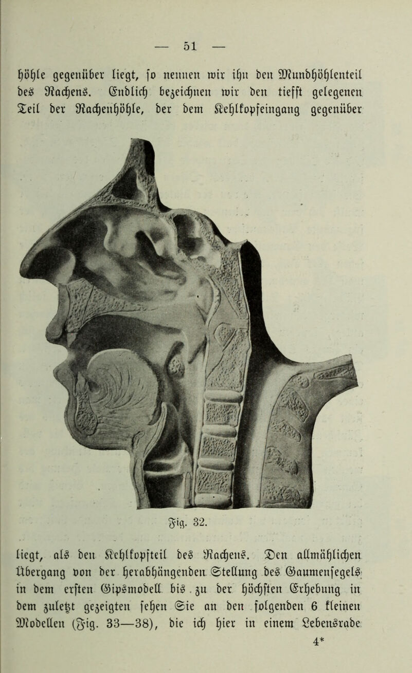 f)ö£)le gegenüber liegt, fo nennen mir ifjtt beit Sftnnbfjöljlenteit beS SfocljenS. (Sttblicf) be$eicf)nen mir ben tiefft gelegenen Seil ber D?ad)en£)öl)Ie, ber bem ®el)lfopfeingang gegenüber $ifl. 32. liegt, als ben $ef)lfopfteil be§ sJ?arfjen^. Sen allmäfjlicfjen Übergang non ber Ijetabljängenben. (Stellung be§ ©aumenfegel3 in bem erften ©ip^mobell big . §u ber fjöcljften (Srljebung in bem juletjt gezeigten fefyen Sie an ben folgenbett 6 fleineit SJtobetten (gig. 33—38), bie id) I)ier in einem Sebettgrabe 4*