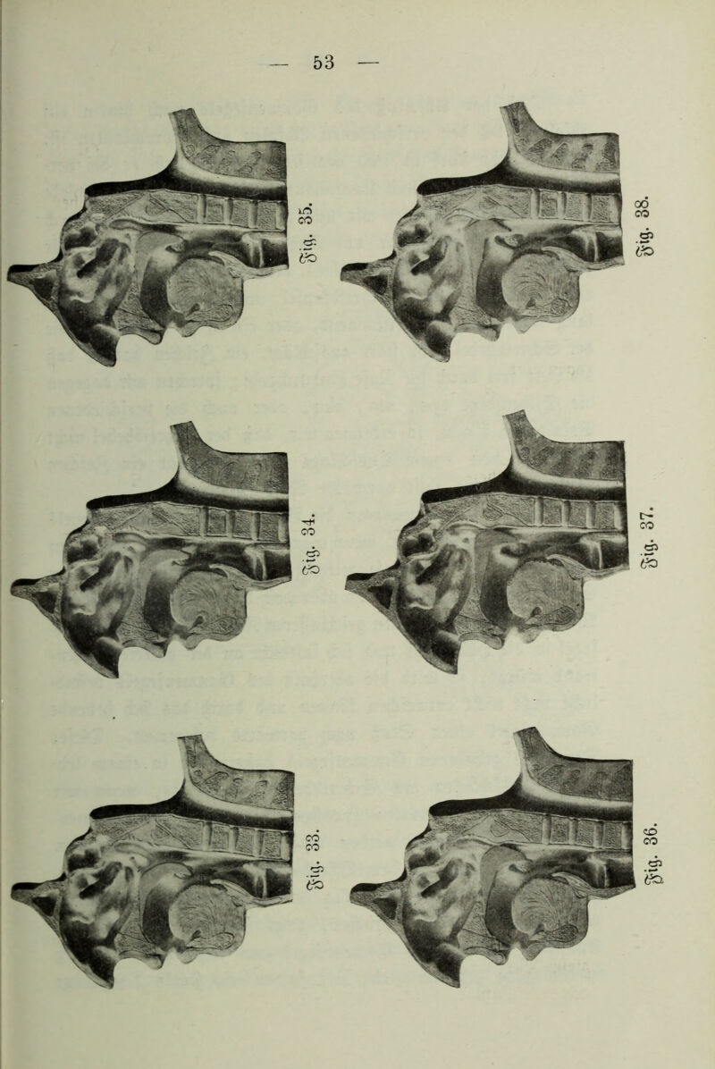 gig. 36. Sia- 37. S‘9- 38.