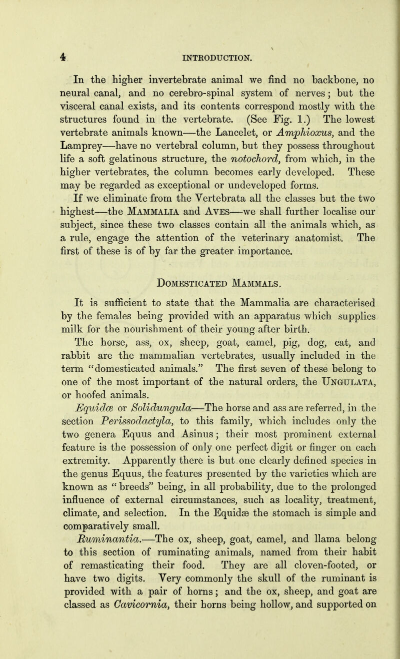 In the higher invertebrate animal we find no backbone, no neural canal, and no cerebro-spinal system of nerves; but the visceral canal exists, and its contents correspond mostly with the structures found in the vertebrate. (See Fig. 1.) The lowest vertebrate animals known—the Lancelet, or Amphioxus, and the Lamprey—have no vertebral column, but they possess throughout life a soft gelatinous structure, the notochord, from which, in the higher vertebrates, the column becomes early developed. These may be regarded as exceptional or undeveloped forms. If we eliminate from the Vertebrata all the classes but the two highest—the Mammalia and Aves—we shall further localise our subject, since these two classes contain all the animals which, as a rule, engage the attention of the veterinary anatomist. The first of these is of by far the greater importance. Domesticated Mammals. It is sufficient to state that the Mammalia are characterised by the females being provided with an apparatus which supplies milk for the nourishment of their young after birth. The horse, ass, ox, sheep, goat, camel, pig, dog, cat, and rabbit are the mammalian vertebrates, usually included in the term domesticated animals. The first seven of these belong to one of the most important of the natural orders, the Ungulata, or hoofed animals. Equidce or Solidungula—The horse and ass are referred, in the section Perissodadyla, to this family, which includes only the two genera Equus and Asinus; their most prominent external feature is the possession of only one perfect digit or finger on each extremity. Apparently there is but one clearly defined species in the genus Equus, the features presented by the varieties which are known as  breeds being, in all probability, due to the prolonged influence of external circumstances, such as locality, treatment, climate, and selection. In the Equidse the stomach is simple and comparatively small. Ruminantia.—The ox, sheep, goat, camel, and llama belong to this section of ruminating animals, named from their habit of remasticating their food. They are all cloven-footed, or have two digits. Very commonly the skull of the ruminant is provided with a pair of horns; and the ox, sheep, and goat are classed as Gavicornia, their horns being hollow, and supported on