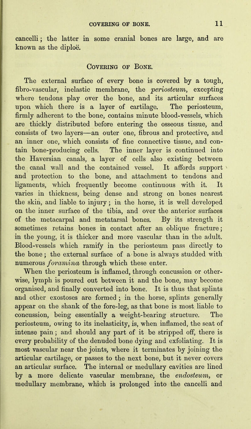 cancelli; the latter in some cranial bones are large, and are known as the diploe. Covering of Bone. The external surface of every bone is covered by a tough, fibre-vascular, inelastic membrane, the periosteum, excepting where tendons play over the bone, and its articular surfaces upon which there is a layer of cartilage. The periosteum, firmly adherent to the bone, contains minute blood-vessels, which are thickly distributed before entering the osseous tissue, and consists of two laj^ers—an outer one, fibrous and protective, and an inner one, which consists of fine connective tissue, and con- tain bone-producing cells. The inner layer is continued into the Haversian canals, a layer of cells also existing between the canal wall and the contained vessel. It affords support ^ and protection to the bone, and attachment to tendons and ligaments, which frequently become continuous with it. It varies in thickness, being dense and strong on bones nearest the skin, and liable to injury; in the horse, it is well developed on the inner surface of the tibia, and over the anterior surfaces of the metacarpal and metatarsal bones. By its strength it sometimes retains bones in contact after an oblique fracture; in the young, it is thicker and more vascular than in the adult. Blood-vessels which ramify in the periosteum pass directly to the bone; the external surface of a bone is always studded with numerous foramina through which these enter. When the periosteum is inflamed, through concussion or other- wise, lymph is poured out between it and the bone, may become organised, and finally converted into bone. It is thus that splints and other exostoses are formed ; in the horse, splints generally appear on the shank of the fore-leg, as that bone is most, liable to concussion, being essentially a weight-bearing structure. The periosteum, owing to its inelasticity, is, when inflamed, the seat of intense pain; and should any part of it be stripped off, there is every probability of the denuded bone dying and exfoliating. It is most vascular near the joints, where it terminates by joining the articular cartilage, or passes to the next bone, but it never covers an articular surface. The internal or medullary cavities are lined by a more delicate vascular membrane, the endosteum, or medullary membrane, whioh is prolonged into the cancelli and