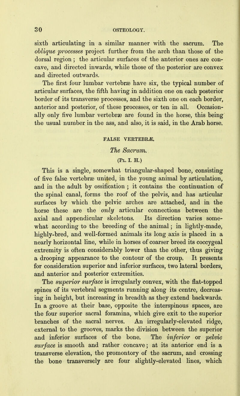 sixth articulating in a similar manner with the sacrum. The oblique processes project further from the arch than those of the dorsal region; the articular surfaces of the anterior ones are con- cave, and directed inwards, while those of the posterior are convex and directed outwards. The first four lumbar vertebrae have six, the typical number of articular surfaces, the fifth having in addition one on each posterior border of its transverse processes, and the sixth one on each border, anterior and posterior, of these processes, or ten in all. Occasion- ally only five lumbar vertebrae are found in the horse, this being the usual number in the ass, and also, it is said, in the Arab horse. FALSE VERTEBE^. The Sacrum. (Pl. l h.) This is a single, somewhat triangular-shaped bone, consisting of five false vertebrae united, in the young animal by articulation, and in the adult by ossification ; it contains the continuation of the spinal canal, forms the roof of the pelvis, and has articular surfaces by which the pelvic arches are attached, and in the horse these are the only articular connections between the axial and appendicular skeletons. Its direction varies some- what according to the breeding of the animal; in lightly-made, highly-bred, and well-formed animals its long axis is placed in a nearly horizontal line, while in horses of coarser breed its coccygeal extremity is often considerably lower than the other, thus giving a drooping appearance to the contour of the croup. It presents for consideration superior and inferior surfaces, two lateral borders, and anterior and posterior extremities. The superior surface is irregularly convex, with the flat-topped spines of its vertebral segments running along its centre, decreas- ing in height, but increasing in breadth as they extend backwards. In a groove at their base, opposite the interspinous spaces, are the four superior sacral foramina, which give exit to the superior branches of the sacral nerves. An irregularly-elevated ridge, external to the grooves, marks the division between the superior and inferior surfaces of the bone. The inferior or pelvic surface is smooth and rather concave; at its anterior end is a transverse elevation, the promontory of the sacrum, and crossing the bone transversely are four slightly-elevated lines, which