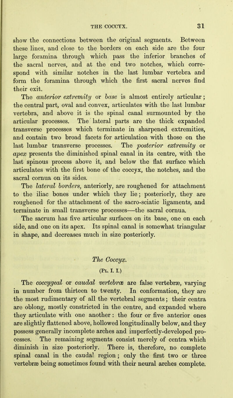 show the connections between the original segments. Between these lines, and close to the borders on each side are the four large foramina through which pass the inferior branches of the sacral nerves, and at the end two notches, which corre- spond with similar notches in the last lumbar vertebra and form the foramina through which the first sacral nerves find their exit. The anterior extremity or hase is almost entirely articular; the central part, oval and convex, articulates with the last lumbar vertebra, and above it is the spinal canal surmounted by the articular processes. The lateral parts are the thick expanded transverse processes which terminate in sharpened extremities, and contain two broad facets for articulation with those on the last lumbar transverse processes. The posterior extremity or apex presents the diminished spinal canal in its centre, with the last spinous process above it, and below the flat surface which articulates with the first bone of the coccyx, the notches, and the sacral cornua on its sides. The lateral borders, anteriorly, are roughened for attachment to the iliac bones under which they lie; posteriorly, they are roughened for the attachment of the sacro-sciatic ligaments, and terminate in small transverse processes—the sacral cornua. The sacrum has five articular surfaces on its base, one on each side, and one on its apex. Its spinal canal is somewhat triangular in shape, and decreases much in size posteriorly. The Coccyx. (PL. 1.1.) The coccygeal or caudal vertehrce are false vertebrae, varying in number from thirteen to twenty. In conformation, they are the most rudimentary of all the vertebral segments; their centra are oblong, mostly constricted in the centre, and expanded where they articulate with one another : the four or five anterior ones are slightly flattened above, hollowed longitudinally below, and they possess generally incomplete arches and imperfectly-developed pro- cesses. The remaining segments consist merely of centra which diminish in size posteriorly. There is, therefore, no complete spinal canal in the cauda^ region; only the first two or three vertebrae being sometimes found with their neural arches complete.