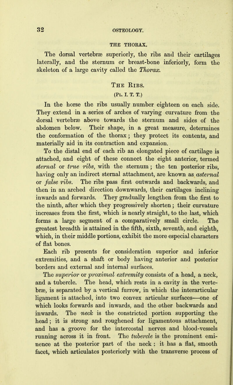 THE THORAX. The dorsal vertebrae superiorly, the ribs and their cartilages laterally, and the sternum or breast-bone inferiorly, form the skeleton of a large cavity called the Thorax. The Ribs. (Pl. I. T. T.) In the horse the ribs usually number eighteen on each side. They extend in a series of arches of varying curvature from the dorsal vertebrae above towards the sternum and sides of the abdomen below. Their shape, in a great measure, determines the conformation of the thorax; they protect its contents, and materially aid in its contraction and expansion. To the distal end of each rib an elongated piece of cartilage is attached, and eight of these connect the eight anterior, termed sternal or true ribs, with the sternum; the ten posterior ribs, having only an indirect sternal attachment, are known as asternal or false ribs. The ribs pass first outwards and backwards, and then in an arched direction downwards, their cartilages inclining inwards and forwards. They gradually lengthen from the first to the ninth, after which they progressively shorten; their curvature increases from the first, which is nearly straight, to the last, which forms a large segment of a comparatively small circle. The greatest breadth is attained in the fifth, sixth, seventh, and eighth, which, in their middle portions, exhibit the more especial characters of flat bones. Each rib presents for consideration superior and inferior extremities, and a shaft or body having anterior and posterior borders and external and internal surfaces. The superior or proximal extremity consists of a head, a neck, and a tubercle. The head, which rests in a cavity in the verte- brae, is separated by a vertical furrow, in which the interarticular ligament is attached, into two convex articular surfaces—one of which looks forwards and inwards, and the other backwards and inwards. The neck is the constricted portion supporting the head; it is strong and roughened for ligamentous attachment, and has a groove for the intercostal nerves and blood-vessels running across it in front. The tubercle is the prominent emi- nence at the posterior part of the neck : it has a flat, smooth facet, which articulates posteriorly with the transverse process of