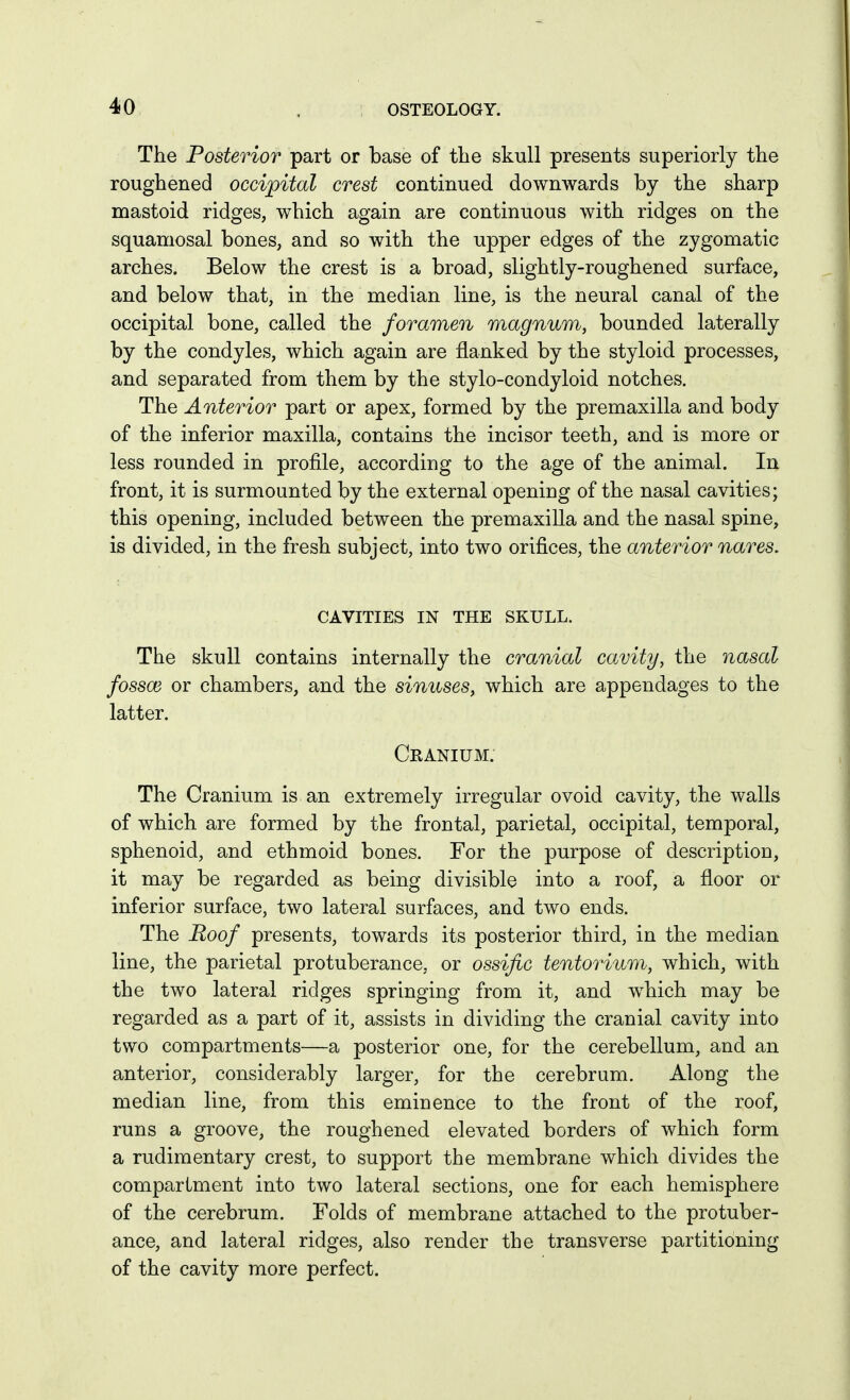 The Posterior part or base of tlie skull presents superiorly the roughened occipital crest continued downwards by the sharp mastoid ridges, w^hich again are continuous with ridges on the squamosal bones, and so with the upper edges of the zygomatic arches. Below the crest is a broad, slightly-roughened surface, and below that, in the median line, is the neural canal of the occipital bone, called the foramen magnum, bounded laterally by the condyles, which again are flanked by the styloid processes, and separated from them by the stylo-condyloid notches. The Anterior part or apex, formed by the premaxilla and body of the inferior maxilla, contains the incisor teeth, and is more or less rounded in profile, according to the age of the animal. In front, it is surmounted by the external opening of the nasal cavities; this opening, included between the premaxilla and the nasal spine, is divided, in the fresh subject, into two orifices, the anterior nares. CAVITIES IN THE SKULL. The skull contains internally the cranial cavity, the nasal fossce or chambers, and the sinuses, which are appendages to the latter. Cranium. The Cranium is an extremely irregular ovoid cavity, the walls of which are formed by the frontal, parietal, occipital, temporal, sphenoid, and ethmoid bones. For the purpose of description, it may be regarded as being divisible into a roof, a floor or inferior surface, two lateral surfaces, and two ends. The Roof presents, towards its posterior third, in the median line, the parietal protuberance, or ossific tentorium, which, with the two lateral ridges springing from it, and w^hich may be regarded as a part of it, assists in dividing the cranial cavity into two compartments—a posterior one, for the cerebellum, and an anterior, considerably larger, for the cerebrum. Along the median line, from this eminence to the front of the roof, runs a groove, the roughened elevated borders of which form a rudimentary crest, to support the membrane which divides the compartment into two lateral sections, one for each hemisphere of the cerebrum. Folds of membrane attached to the protuber- ance, and lateral ridges, also render the transverse partitioning of the cavity more perfect.