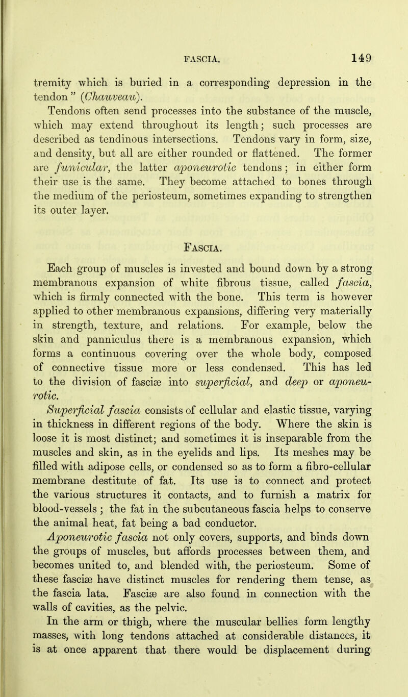 tremity which is buried in a corresponding depression in the tendon  {Cliauveau). Tendons often send processes into the substance of the muscle, which may extend throughout its length; such processes are described as tendinous intersections. Tendons vary in form, size, and density, but all are either rounded or flattened. The former are funicular, the latter aponeurotic tendons ; in either form their use is the same. They become attached to bones through the medium of the periosteum, sometimes expanding to strengthen its outer layer. Fascia. Each group of muscles is invested and bound down by a strong membranous expansion of white fibrous tissue, called fascia, which is firmly connected with the bone. This term is however applied to other membranous expansions, differing very materially in strength, texture, and relations. For example, below the skin and panniculus there is a membranous expansion, which forms a continuous covering over the whole body, composed of connective tissue more or less condensed. This has led to the division of fasciae into superficial, and deep or aponeu- rotic. Superficial fascia consists of cellular and elastic tissue, varying in thickness in different regions of the body. Where the skin is loose it is most distinct; and sometimes it is inseparable from the muscles and skin, as in the eyelids and lips. Its meshes may be filled with adipose cells, or condensed so as to form a fibro-cellular membrane destitute of fat. Its use is to connect and protect the various structures it contacts, and to furnish a matrix for blood-vessels ; the fat in the subcutaneous fascia helps to conserve the animal heat, fat being a bad conductor. Aponeurotic fascia not only covers, supports, and binds down the groups of muscles, but affords processes between them, and becomes united to, and blended with, the periosteum. Some of these fascise have distinct muscles for rendering them tense, as the fascia lata. Fascise are also found in connection with the walls of cavities, as the pelvic. In the arm or thigh, where the muscular bellies form lengthy masses, with long tendons attached at considerable distances, it is at once apparent that there would be displacement during