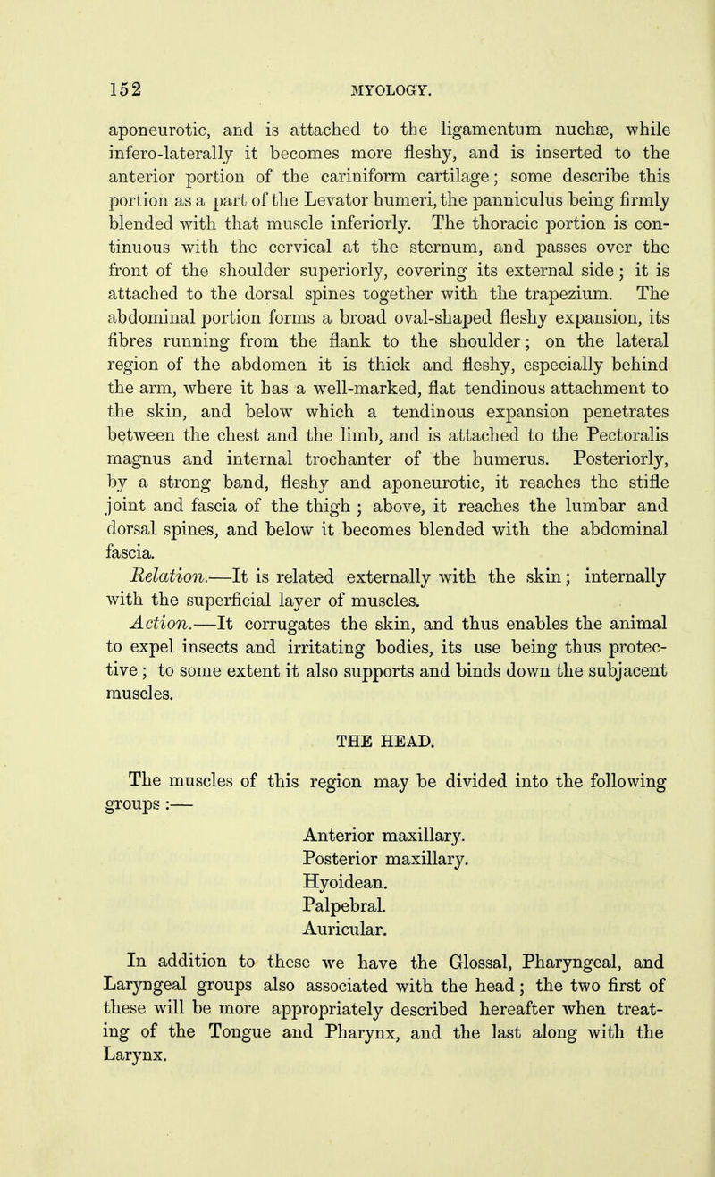 aponeurotic, and is attached to the ligamentum nuchge, while infero-laterally it becomes more fleshy, and is inserted to the anterior portion of the cariniform cartilage; some describe this portion as a part of the Levator humeri, the panniculus being firmly blended with that muscle inferiorly. The thoracic portion is con- tinuous with the cervical at the sternum, and passes over the front of the shoulder superiorly, covering its external side; it is attached to the dorsal spines together with the trapezium. The abdominal portion forms a broad oval-shaped fleshy expansion, its fibres running from the flank to the shoulder; on the lateral region of the abdomen it is thick and fleshy, especially behind the arm, where it has a well-marked, flat tendinous attachment to the skin, and below which a tendinous expansion penetrates between the chest and the limb, and is attached to the Pectoralis magnus and internal trochanter of the humerus. Posteriorly, by a strong band, fleshy and aponeurotic, it reaches the stifle joint and fascia of the thigh ; above, it reaches the lumbar and dorsal spines, and below it becomes blended with the abdominal fascia. Relation.—It is related externally with the skin; internally with the superficial layer of muscles. Action.—It corrugates the skin, and thus enables the animal to expel insects and irritating bodies, its use being thus protec- tive ; to some extent it also supports and binds down the subjacent muscles. THE HEAD. The muscles of this region may be divided into the following groups :— Anterior maxillary. Posterior maxillary. Hyoidean. Palpebral. Auricular. In addition to these we have the Glossal, Pharyngeal, and Laryngeal groups also associated with the head; the two first of these will be more appropriately described hereafter when treat- ing of the Tongue and Pharynx, and the last along with the Larynx.