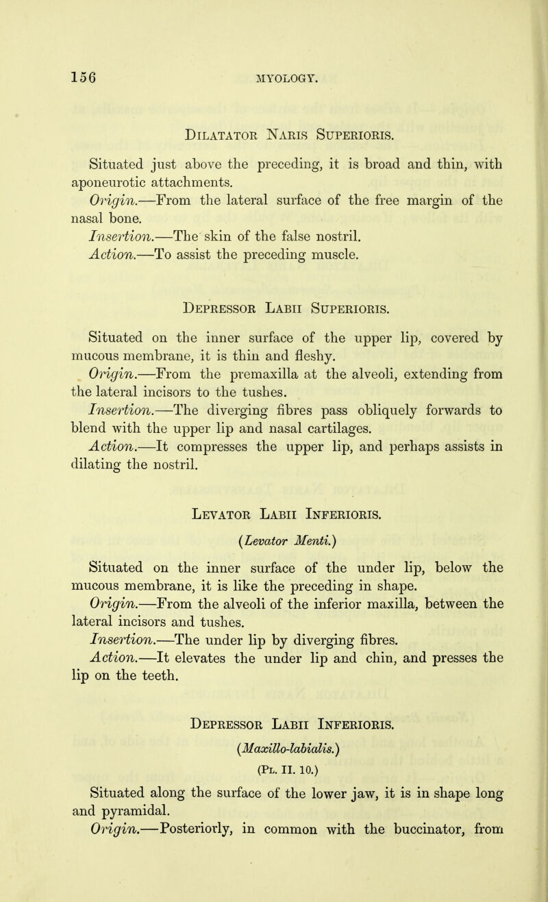 Dilatator Naris Superioris. Situated just above the preceding, it is broad and thin, with aponeurotic attachments. Origin.—From the lateral surface of the free margin of the nasal bone. Insertion.—The skin of the false nostril. Action.—To assist the preceding muscle. Depressor Labii Superioris. Situated on the inner surface of the upper lip, covered by mucous membrane, it is thin and fleshy. Origin.—From the premaxilla at the alveoli, extending from the lateral incisors to the tushes. Insertion.—The diverging fibres pass obliquely forwards to blend with the upper lip and nasal cartilages. Action.—It compresses the upper lip, and perhaps assists in dilating the nostril. Levator Labii Inferioris. {Levator Menti.) Situated on the inner surface of the under lip, below the mucous membrane, it is like the preceding in shape. Origin.—From the alveoli of the inferior maxilla, between the lateral incisors and tushes. Insertion.—The under lip by diverging fibres. Action.—It elevates the under lip and chin, and presses the lip on the teeth. Depressor Labii Inferioris. (Maxillo-lahialis.) (Pl. II. 10.) Situated along the surface of the lower jaw, it is in shape long and pyramidal. Origin.—Posteriorly, in common with the buccinator, from