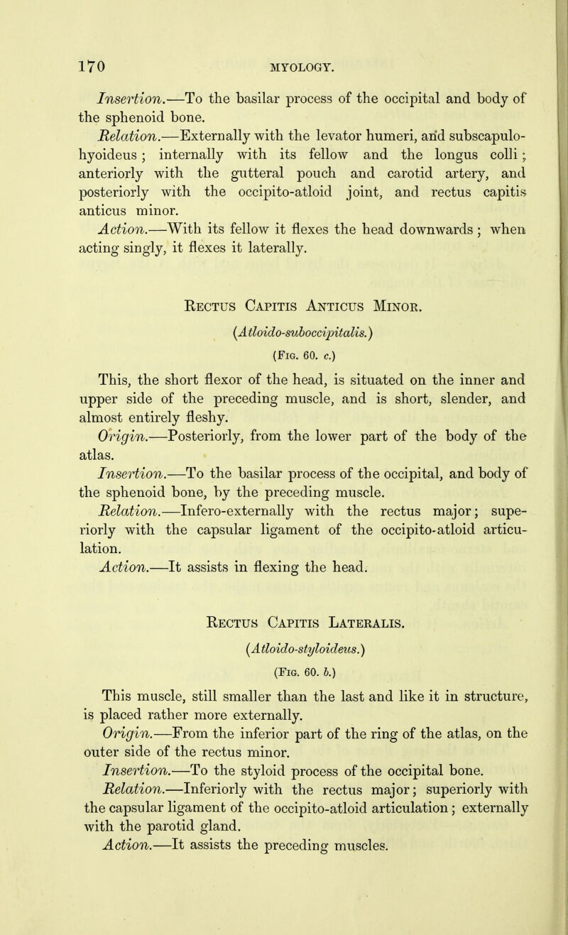 Insertion.—To the basilar process of the occipital and body of the sphenoid bone. Relation.—Externally with the levator humeri, arid subscapulo- hyoideus ; internally with its fellow and the longus colli; anteriorly with the gutteral pouch and carotid artery, and posteriorly with the occipito-atloid joint, and rectus capitis anticus minor. Action.—With its fellow it flexes the head downwards ; when acting singly, it flexes it laterally. Eectus Capitis Anticus Minor. {Atloido-suhoccipitalis.) (Fig. 60. c.) This, the short flexor of the head, is situated on the inner and upper side of the preceding muscle, and is short, slender, and almost entirely fleshy. Origin.—Posteriorly, from the lower part of the body of the atlas. Insertion.—To the basilar process of the occipital, and body of the sphenoid bone, by the preceding muscle. Relation.—Infero-externally with the rectus major; supe- riorly with the capsular ligament of the occipito-atloid articu- lation. Action.—It assists in flexing the head. Rectus Capitis Lateralis. (^A tloido-styloideus.) (Fig. 60. 5.) This muscle, still smaller than the last and like it in structure, is placed rather more externally. Origin.—From the inferior part of the ring of the atlas, on the outer side of the rectus minor. Insertion.—To the styloid process of the occipital bone. Relation.—Inferiorly with the rectus major; superiorly with the capsular ligament of the occipito-atloid articulation; externally with the parotid gland. Action.—It assists the preceding muscles.