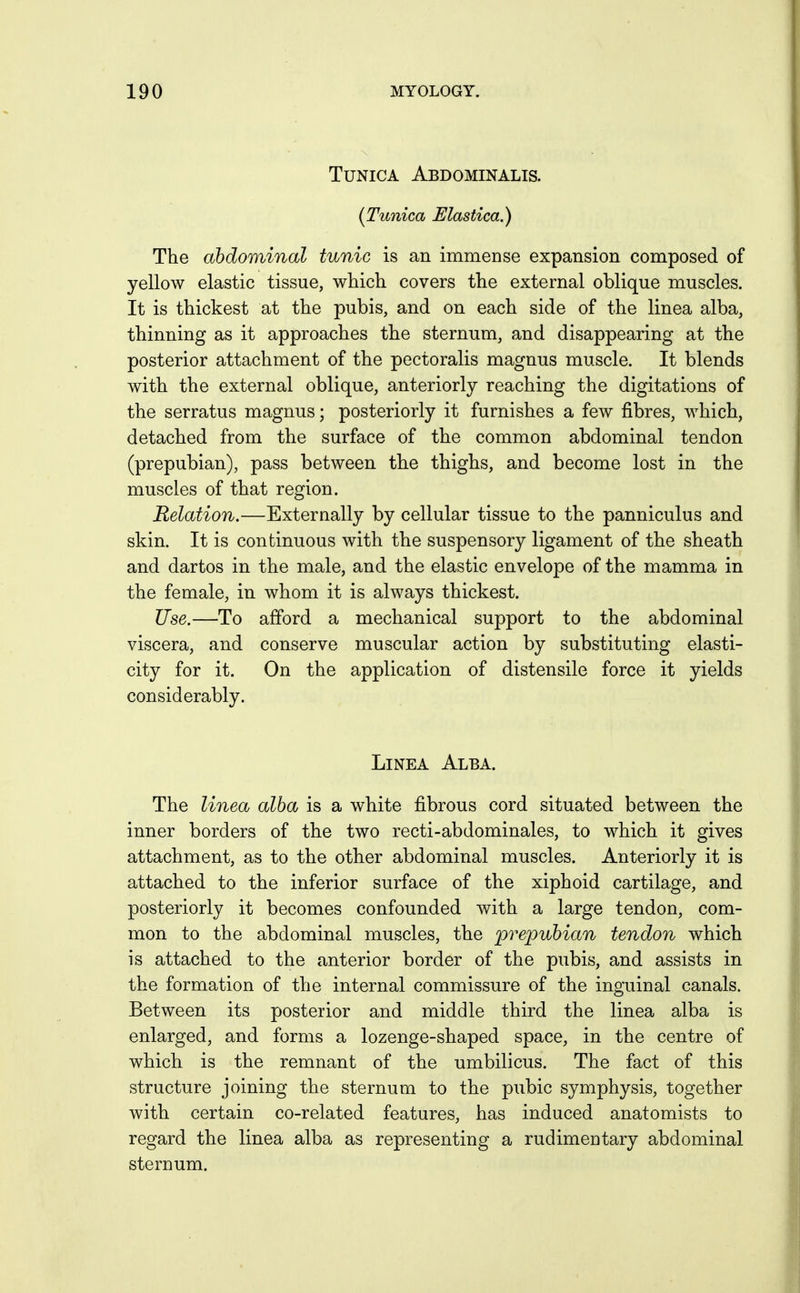 Tunica Abdominalis. {Tunica Elastica.) The abdominal tunic is an immense expansion composed of yellow elastic tissue, which covers the external oblique muscles. It is thickest at the pubis, and on each side of the linea alba, thinning as it approaches the sternum, and disappearing at the posterior attachment of the pectoralis magnus muscle. It blends with the external oblique, anteriorly reaching the digitations of the serratus magnus; posteriorly it furnishes a few fibres, which, detached from the surface of the common abdominal tendon (prepubian), pass between the thighs, and become lost in the muscles of that region. Relation.—Externally by cellular tissue to the panniculus and skin. It is continuous with the suspensory ligament of the sheath and dartos in the male, and the elastic envelope of the mamma in the female, in whom it is always thickest. Use.—To afford a mechanical support to the abdominal viscera, and conserve muscular action by substituting elasti- city for it. On the application of distensile force it yields considerably. LiNEA Alba. The linea alba is a white fibrous cord situated between the inner borders of the two recti-abdominales, to which it gives attachment, as to the other abdominal muscles. Anteriorly it is attached to the inferior surface of the xiphoid cartilage, and posteriorly it becomes confounded with a large tendon, com- mon to the abdominal muscles, the prepubictn tendon which is attached to the anterior border of the pubis, and assists in the formation of the internal commissure of the inguinal canals. Between its posterior and middle third the linea alba is enlarged, and forms a lozenge-shaped space, in the centre of which is the remnant of the umbilicus. The fact of this structure joining the sternum to the pubic symphysis, together with certain co-related features, has induced anatomists to regard the linea alba as representing a rudimcDtary abdominal sternum.