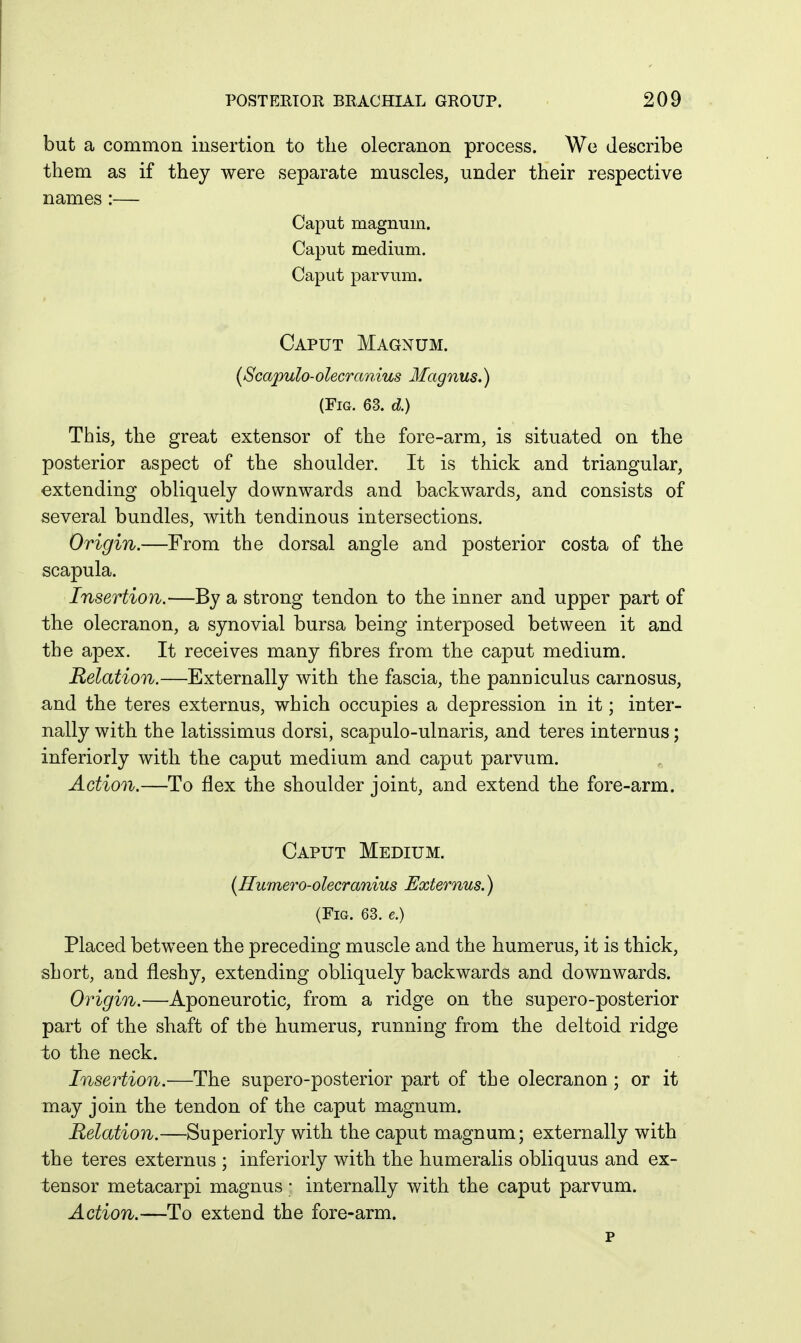 but a common iusertion to the olecranon process. We describe them as if they were separate muscles, under their respective names :— Caput magnum. Caput medium. Caput parvum. Caput Magnum. [Scapulo-olecranius Magnus.) (Fig. 63. d.) This, the great extensor of the fore-arm, is situated on the posterior aspect of the shoulder. It is thick and triangular, extending obliquely downwards and backwards, and consists of several bundles, with tendinous intersections. Origin.—From the dorsal angle and posterior cost a of the scapula. Insertion.—By a strong tendon to the inner and upper part of the olecranon, a synovial bursa being interposed between it and the apex. It receives many fibres from the caput medium. Relation.—Externally with the fascia, the panniculus carnosus, and the teres externus, which occupies a depression in it; inter- nally with the latissimus dorsi, scapulo-ulnaris, and teres internus; inferiorly with the caput medium and caput parvum. Action.—To flex the shoulder joint, and extend the fore-arm. Caput Medium. [Humero-olecranius Externus.) (Fig. 63. e.) Placed between the preceding muscle and the humerus, it is thick, short, and fleshy, extending obliquely backwards and dow^nwards. Origin.—Aponeurotic, from a ridge on the supero-posterior part of the shaft of the humerus, running from the deltoid ridge to the neck. Insertion.—The supero-posterior part of the olecranon; or it may join the tendon of the caput magnum. Relation.—Superiorly with the caput magnum; externally with the teres externus ; inferiorly with the humeralis obliquus and ex- tensor metacarpi magnus; internally with the caput parvum. Action.—To extend the fore-arm. p