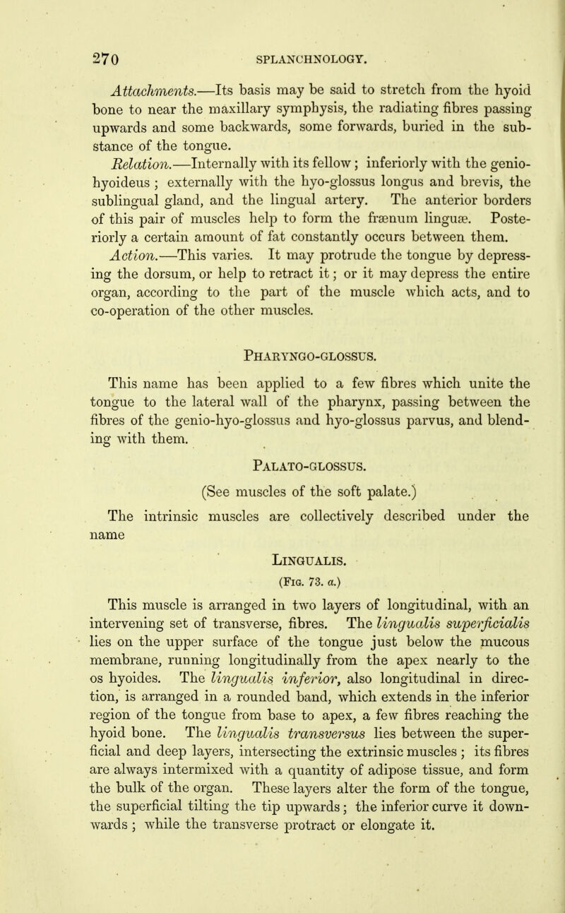 Attachments.—Its basis may be said to stretch from the hyoid bone to near the maxillary symphysis, the radiating fibres passing upwards and some backwards, some forwards, buried in the sub- stance of the tongue. Relation.—Internally with its fellow; inferiorly with the genio- hyoideus ; externally with the hyo-glossus longus and brevis, the sublingual gland, and the lingual artery. The anterior borders of this pair of muscles help to form the frsenum linguse. Poste- riorly a certain amount of fat constantly occurs between them. Action.—This varies. It may protrude the tongue by depress- ing the dorsum, or help to retract it; or it may depress the entire organ, according to the part of the muscle which acts, and to co-operation of the other muscles. Pharyngo-glossus. This name has been applied to a few fibres which unite the tongue to the lateral wall of the pharynx, passing between the fibres of the genio-hyo-glossus and hyo-glossus parvus, and blend- ing with them. Palato-glossus. (See muscles of the soft palate.) The intrinsic muscles are collectively described under the name LiNGUALIS. (Fig. 73. a.) This muscle is arranged in two layers of longitudinal, with an intervening set of transverse, fibres. The lingualis superficialis lies on the upper surface of the tongue just below the mucous membrane, running longitudinally from the apex nearly to the OS hyoides. The lingualis inferior, also longitudinal in direc- tion, is arranged in a rounded band, which extends in the inferior region of the tongue from base to apex, a few fibres reaching the hyoid bone. The lingualis transversus lies between the super- ficial and deep layers, intersecting the extrinsic muscles ; its fibres are always intermixed with a quantity of adipose tissue, and form the bulk of the organ. These layers alter the form of the tongue, the superficial tilting the tip upwards; the inferior curve it down- wards ; while the transverse protract or elongate it.