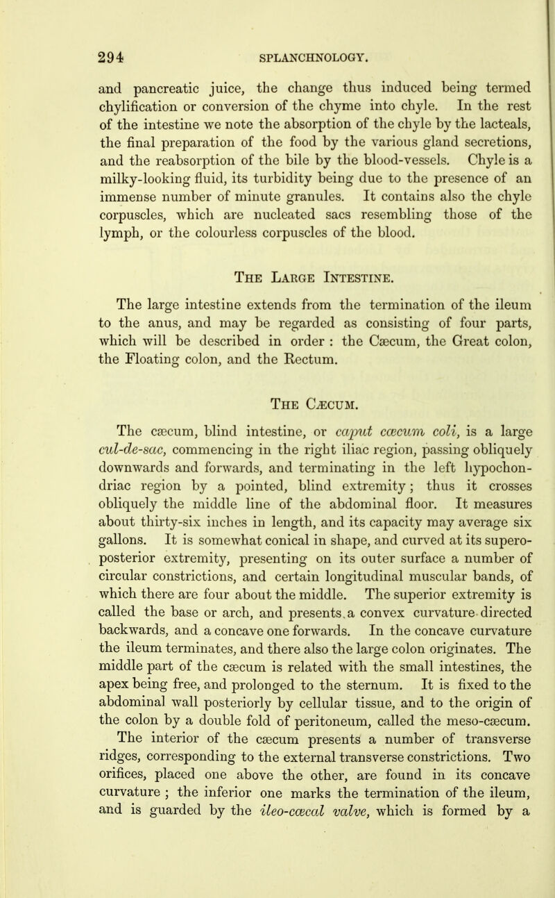 and pancreatic juice, the change thus induced being termed chylification or conversion of the chyme into chyle. In the rest of the intestine we note the absorption of the chyle by the lacteals, the final preparation of the food by the various gland secretions, and the reabsorption of the bile by the blood-vessels. Chyle is a milky-looking fluid, its turbidity being due to the presence of an immense number of minute granules. It contains also the chyle corpuscles, which are nucleated sacs resembling those of the lymph, or the colourless corpuscles of the blood. The Large Intestine. The large intestine extends from the termination of the ileum to the anus, and may be regarded as consisting of four parts, which will be described in order : the Caecum, the Great colon, the Floating colon, and the Rectum. The C^cum. The caecum, blind intestine, or caput ccecum coli, is a large cul-de-sac, commencing in the right iliac region, passing obliquely downwards and forwards, and terminating in the left hypochon- driac region by a pointed, blind extremity; thus it crosses obliquely the middle line of the abdominal floor. It measures about thirty-six inches in length, and its capacity may average six gallons. It is somewhat conical in shape, and curved at its supero- posterior extremity, presenting on its outer surface a number of circular constrictions, and certain longitudinal muscular bands, of which there are four about the middle. The superior extremity is called the base or arch, and presents,a convex curvature directed backwards, and a concave one forwards. In the concave curvature the ileum terminates, and there also the large colon originates. The middle part of the caecum is related with the small intestines, the apex being free, and prolonged to the sternum. It is fixed to the abdominal wall posteriorly by cellular tissue, and to the origin of tbe colon by a double fold of peritoneum, called the meso-caecum. The interior of the caecum presents a number of transverse ridges, corresponding to the external transverse constrictions. Two orifices, placed one above the other, are found in its concave curvature ; the inferior one marks the termination of the ileum, and is guarded by the ileo-ccecal valve, which is formed by a