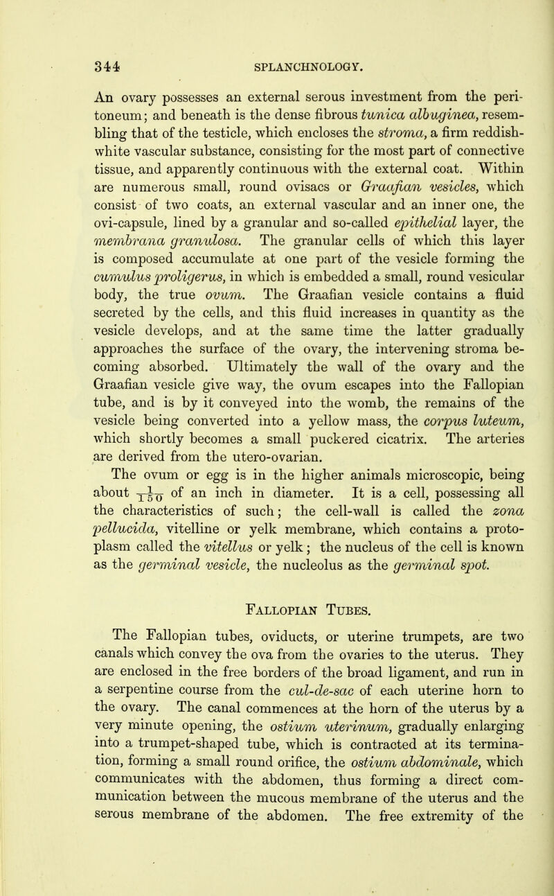 An ovary possesses an external serous investment from the peri- toneum; and beneath is the dense fibrous tunica albuginea, resem- bling that of the testicle, which encloses the stroma, a firm reddish- white vascular substance, consisting for the most part of connective tissue, and apparently continuous with the external coat. Within are numerous small, round ovisacs or Graafian vesicles, which consist of two coats, an external vascular and an inner one, the ovi-capsule, lined by a granular and so-called epithelial layer, the membrana granulosa. The granular cells of which this layer is composed accumulate at one part of the vesicle forming the cumulus proligerus, in which is embedded a small, round vesicular body, the true ovum. The Graafian vesicle contains a fluid secreted by the cells, and this fluid increases in quantity as the vesicle develops, and at the same time the latter gradually approaches the surface of the ovary, the intervening stroma be- coming absorbed. Ultimately the wall of the ovary and the Graafian vesicle give way, the ovum escapes into the Fallopian tube, and is by it conveyed into the womb, the remains of the vesicle being converted into a yellow mass, the corpus luteum, which shortly becomes a small puckered cicatrix. The arteries are derived from the utero-ovarian. The ovum or egg is in the higher animals microscopic, being about yi-Q of an inch in diameter. It is a cell, possessing all the characteristics of such; the cell-wall is called the zona pellucida, vitelline or yelk membrane, which contains a proto- plasm called the vitellus or yelk ; the nucleus of the cell is known as the germinal vesicle, the nucleolus as the germinal spot. Fallopian Tubes. The Fallopian tubes, oviducts, or uterine trumpets, are two canals which convey the ova from the ovaries to the uterus. They are enclosed in the free borders of the broad ligament, and run in a serpentine course from the cul-de-sac of each uterine horn to the ovary. The canal commences at the horn of the uterus by a very minute opening, the ostium uterinum, gradually enlarging into a trumpet-shaped tube, which is contracted at its termina- tion, forming a small round orifice, the ostium ahdominale, which communicates with the abdomen, thus forming a direct com- munication between the mucous membrane of the uterus and the serous membrane of the abdomen. The free extremity of the