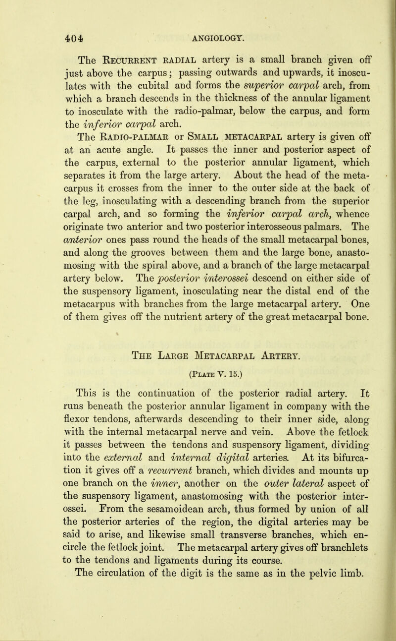 The Recurrent radial artery is a small branch given off just above the carpus; passing outwards and upwards, it inoscu- lates with the cubital and forms the superior cavpal arch, from which a branch descends in the thickness of the annular ligament to inosculate with the radio-palmar, below the carpus, and form the inferior carpal arch. The Radio-palmar or Small metacarpal artery is given off at an acute angle. It passes the inner and posterior aspect of the carpus, external to the posterior annular ligament, which separates it from the large artery. About the head of the meta- carpus it crosses from the inner to the outer side at the back of the leg, inosculating with a descending branch from the superior carpal arch, and so forming the inferior carpal arch, whence originate two anterior and two posterior interosseous palmars. The anterior ones pass round the heads of the small metacarpal bones, and along the grooves between them and the large bone, anasto- mosing with the spiral above, and a branch of the large metacarpal artery below. The posterior interossei descend on either side of the suspensory ligament, inosculating near the distal end of the metacarpus with branches from the large metacarpal artery. One of them gives off the nutrient artery of the great metacarpal bone. The Large Metacarpal Artery. (Plate V. 15.) This is the continuation of the posterior radial artery. It runs beneath the posterior annular ligament in company with the flexor tendons, afterwards descending to their inner side, along with the internal metacarpal nerve and vein. Above the fetlock it passes between the tendons and suspensory ligament, dividing into the external and internal digital arteries. At its bifurca- tion it gives off a recurrent branch, which divides and mounts up one branch on the inner, another on the outer lateral aspect of the suspensory ligament, anastomosing with the posterior inter- ossei. From the sesamoidean arch, thus formed by union of all the posterior arteries of the region, the digital arteries may be said to arise, and likewise small transverse branches, which en- circle the fetlock joint. The metacarpal artery gives off branchlets to the tendons and ligaments during its course. The circulation of the digit is the same as in the pelvic limb.